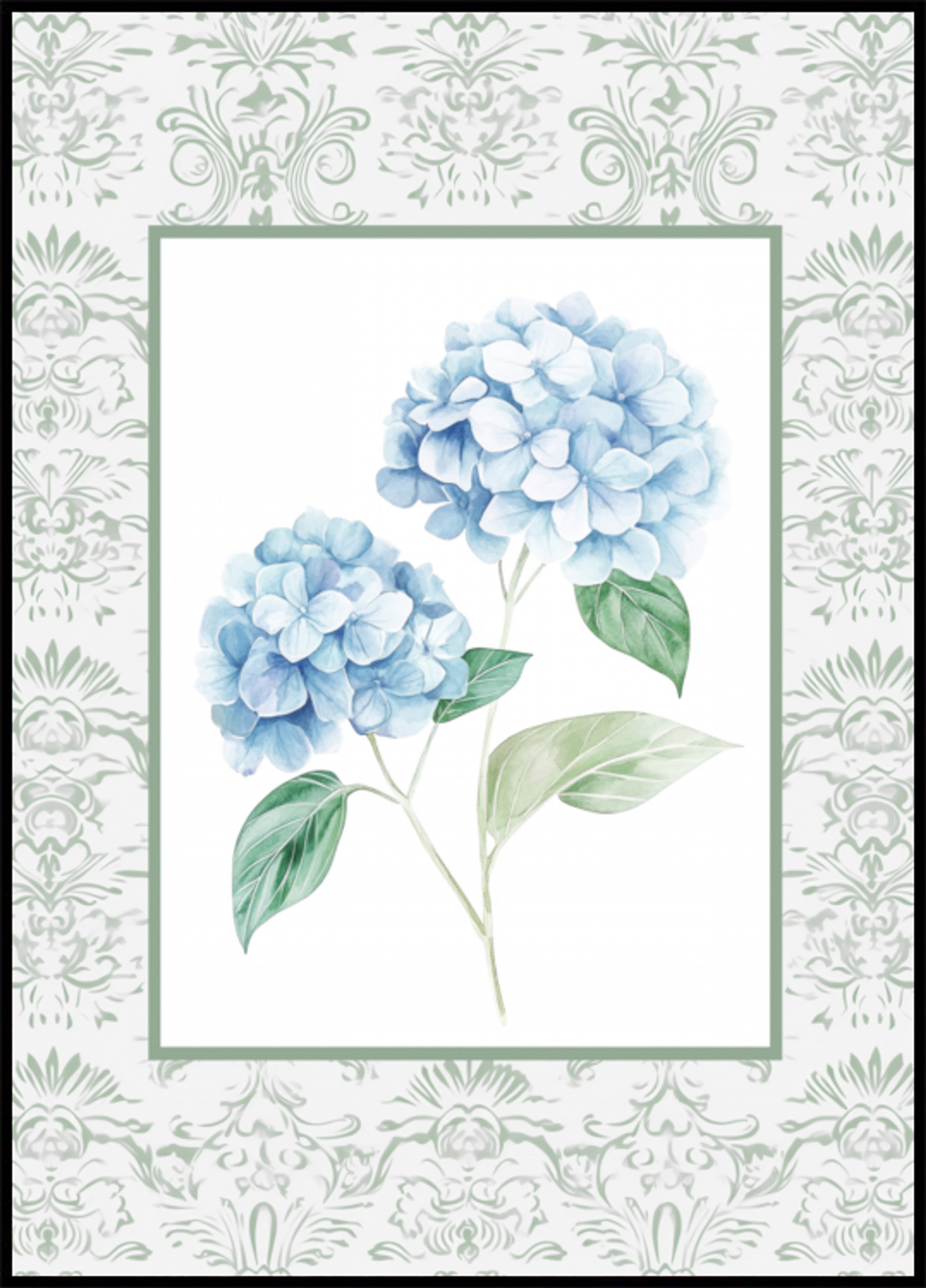 Hortensias 2