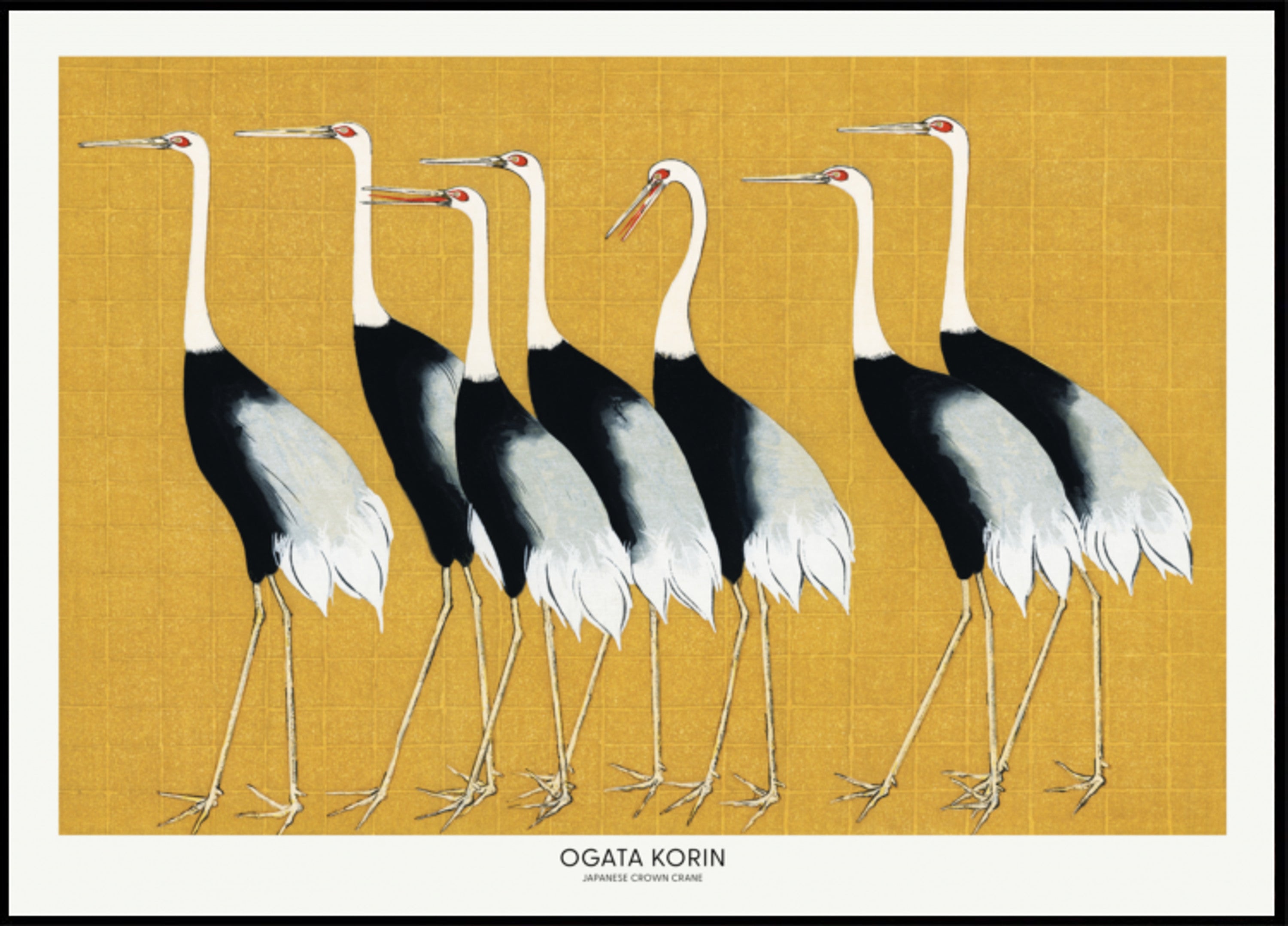 Grulla coronada roja japonesa