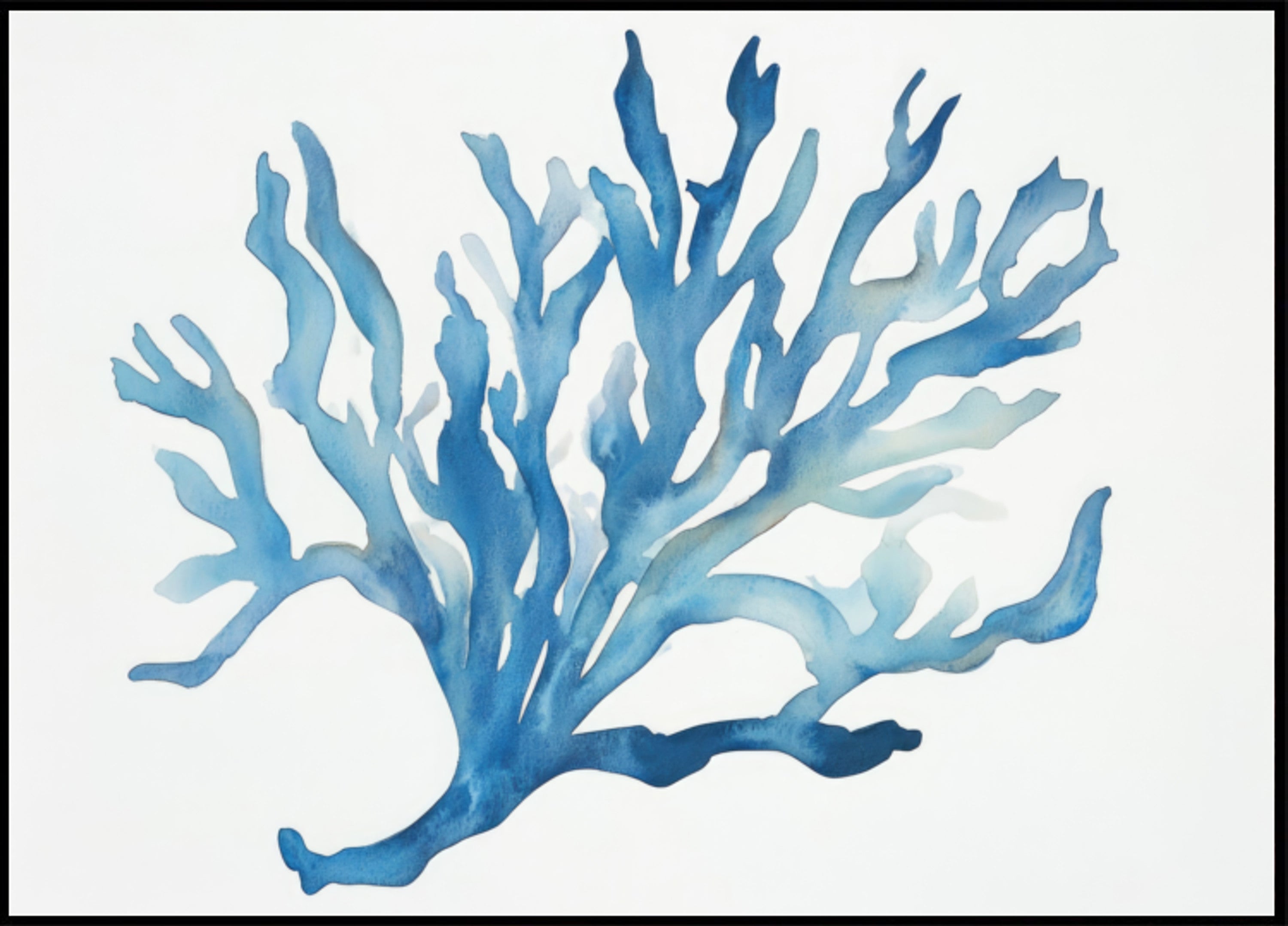 coral azul