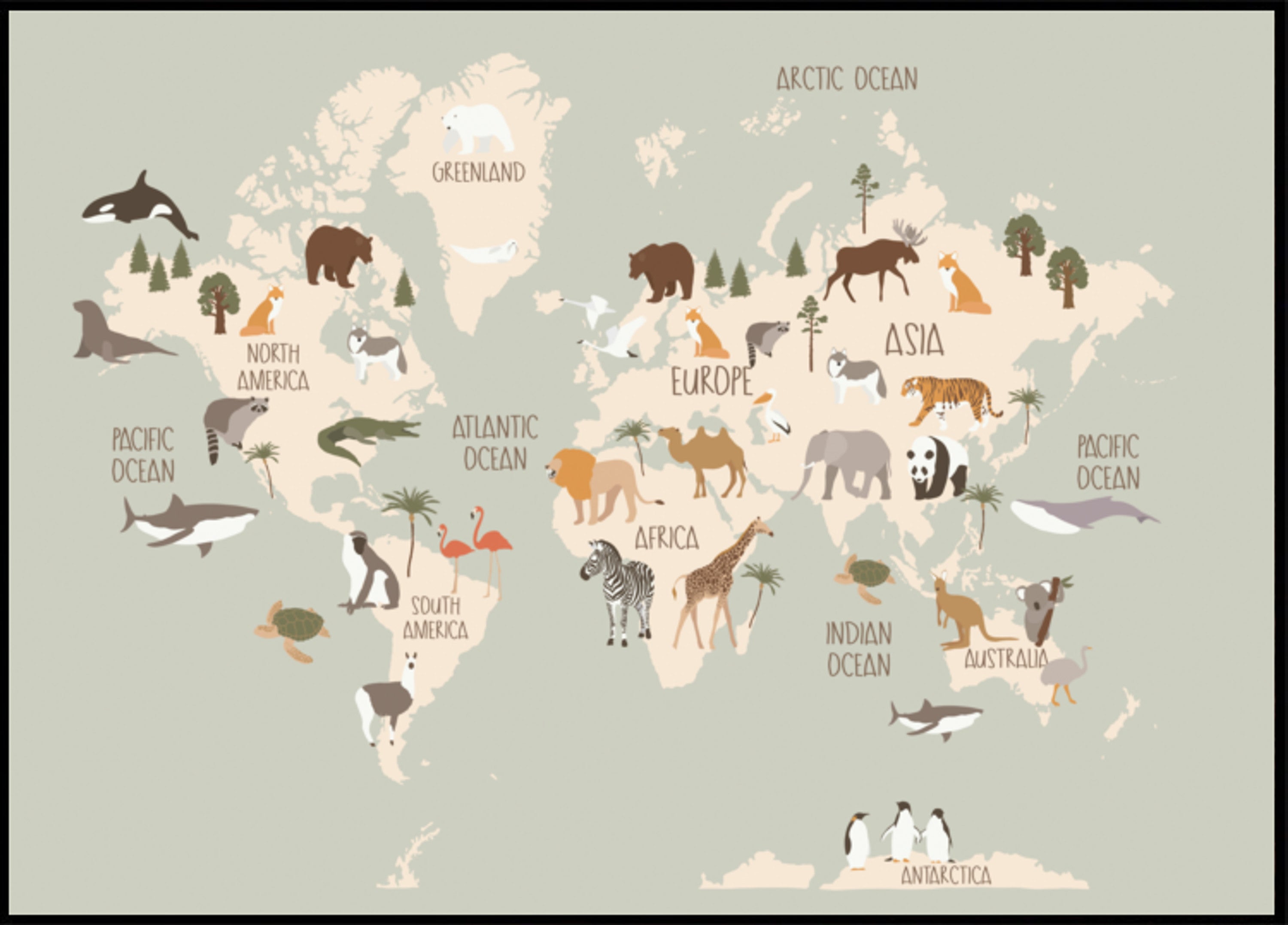 Mapa mundial de vida silvestre