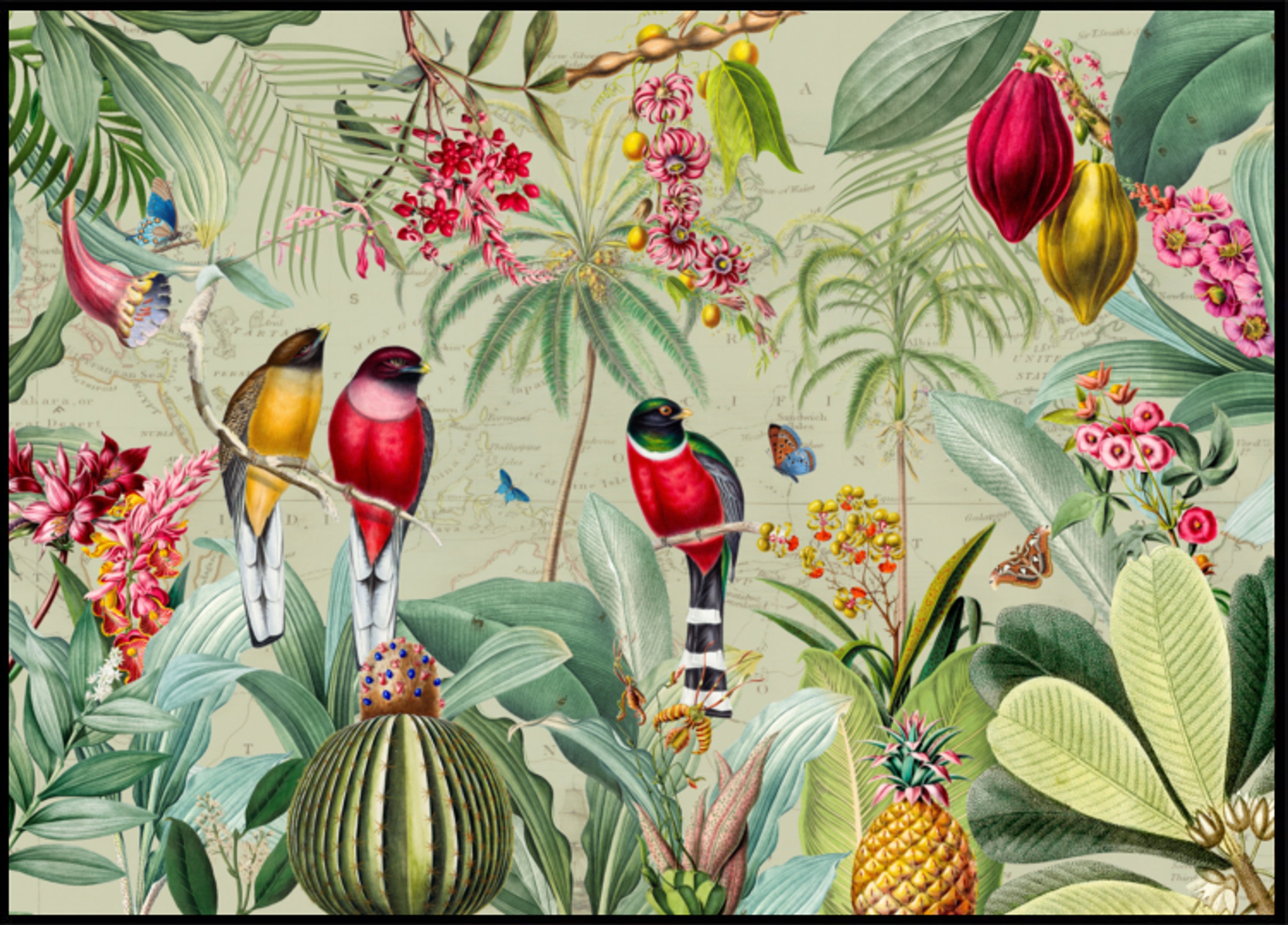 Aves de la selva tropical