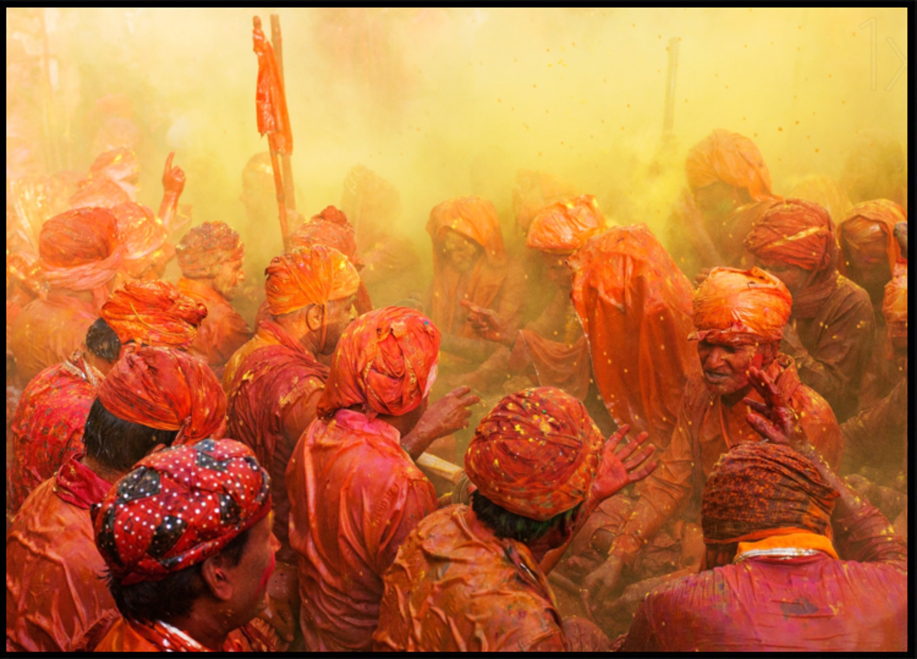 Celebración vibrante de Holi