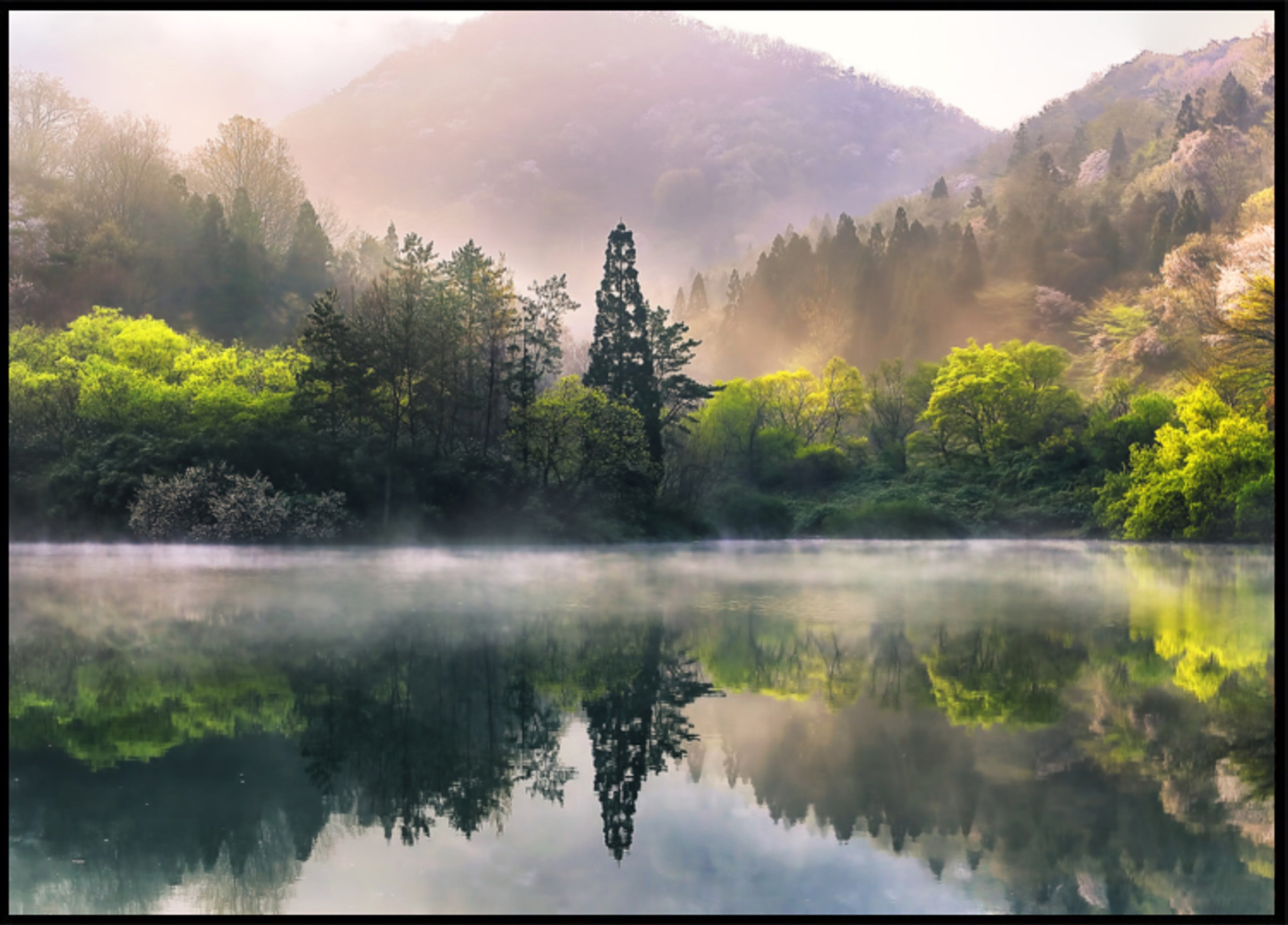 Reflejo brumoso del lago Spring