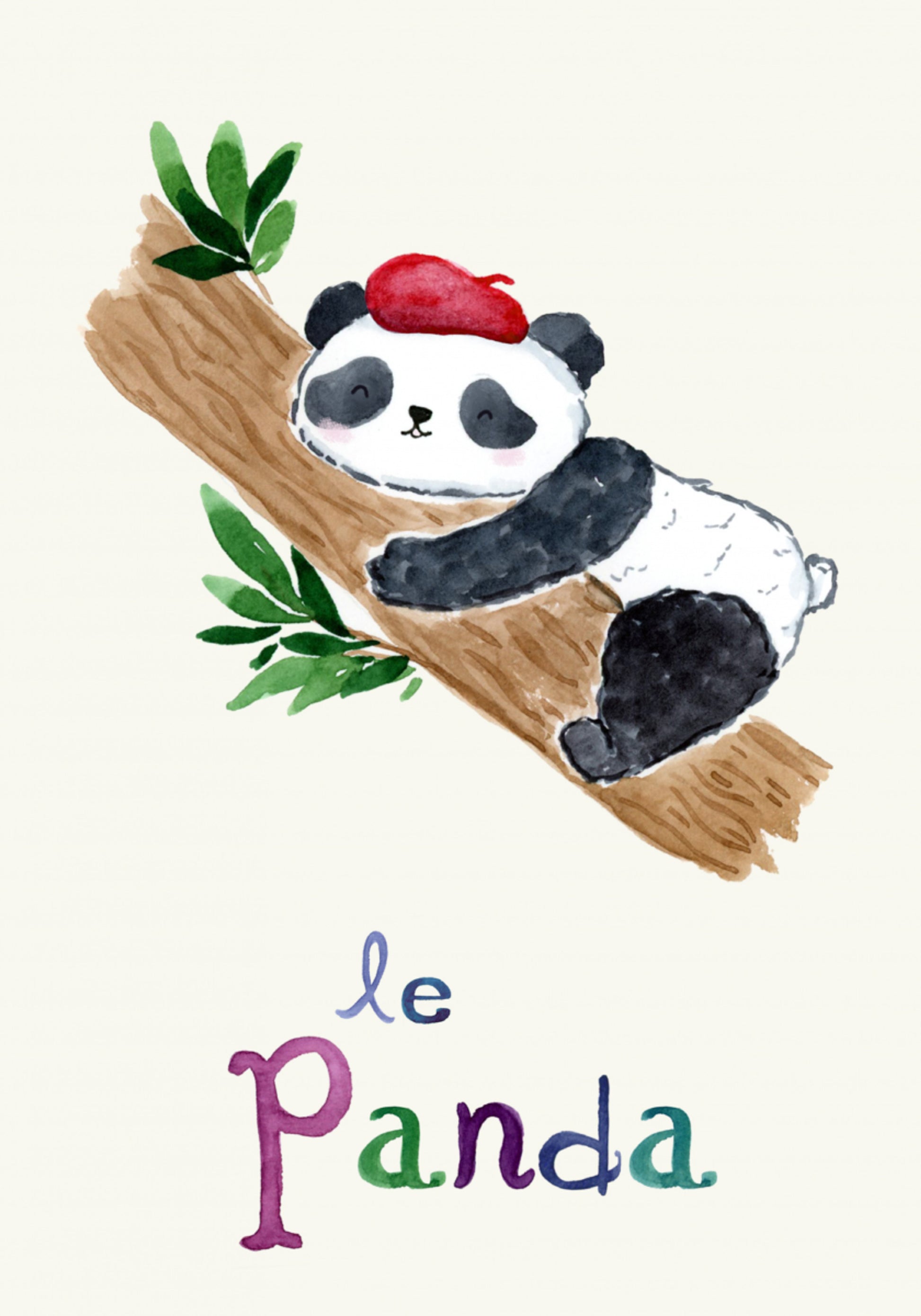 Panda francés durmiendo