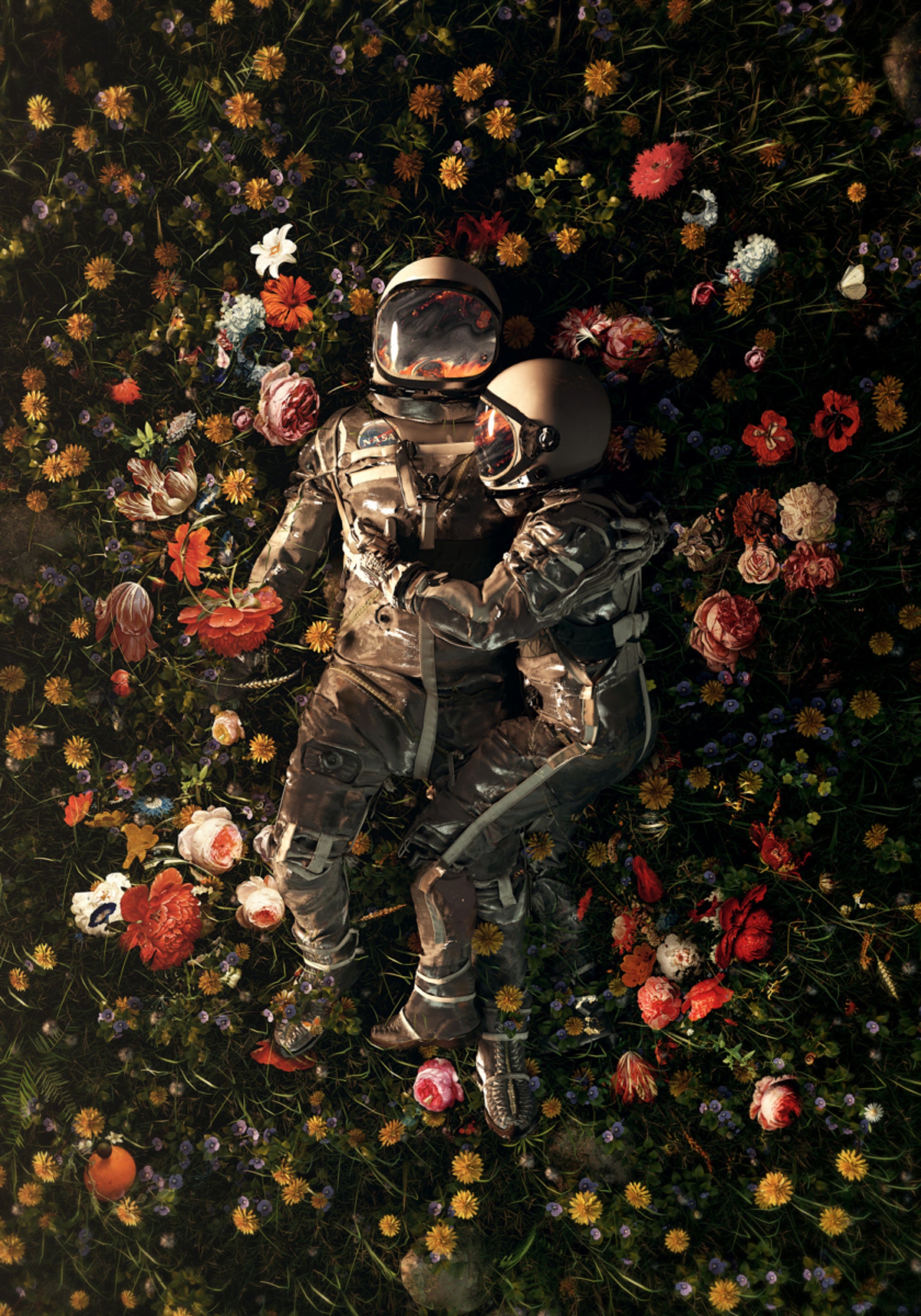 Floración de pareja cósmica