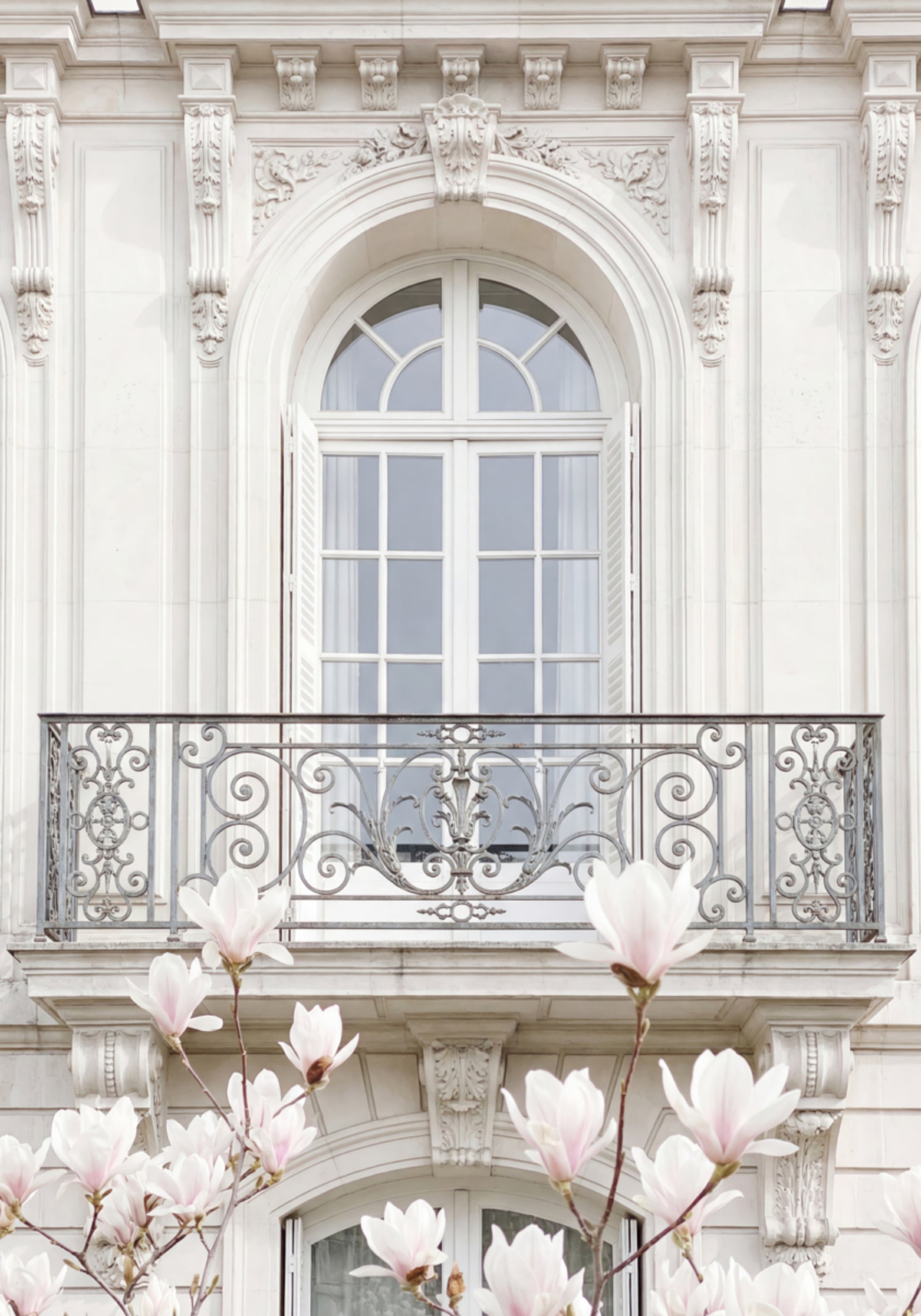 Magnolias de fachada blanca