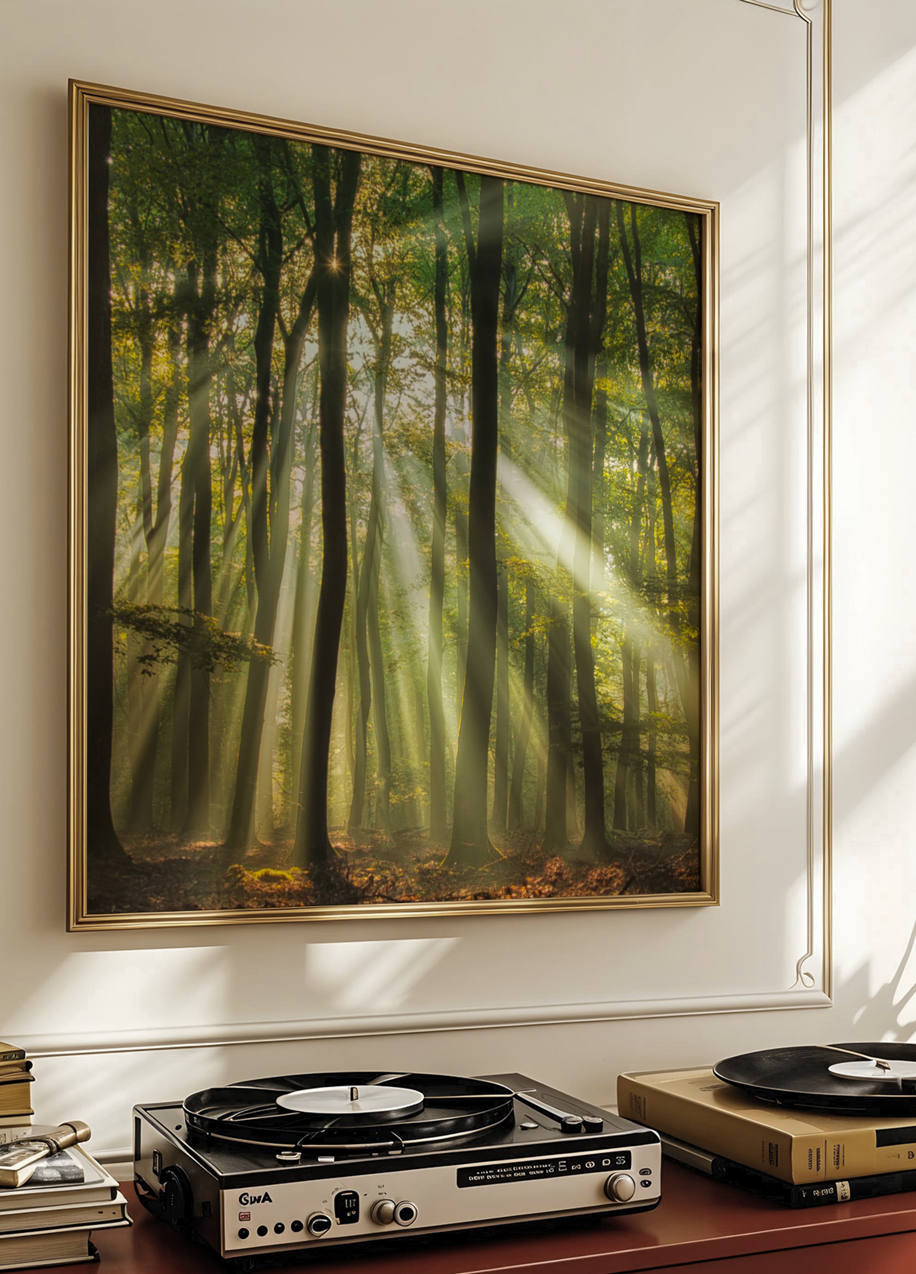 Bosque iluminado por el sol de la mañana brumosa