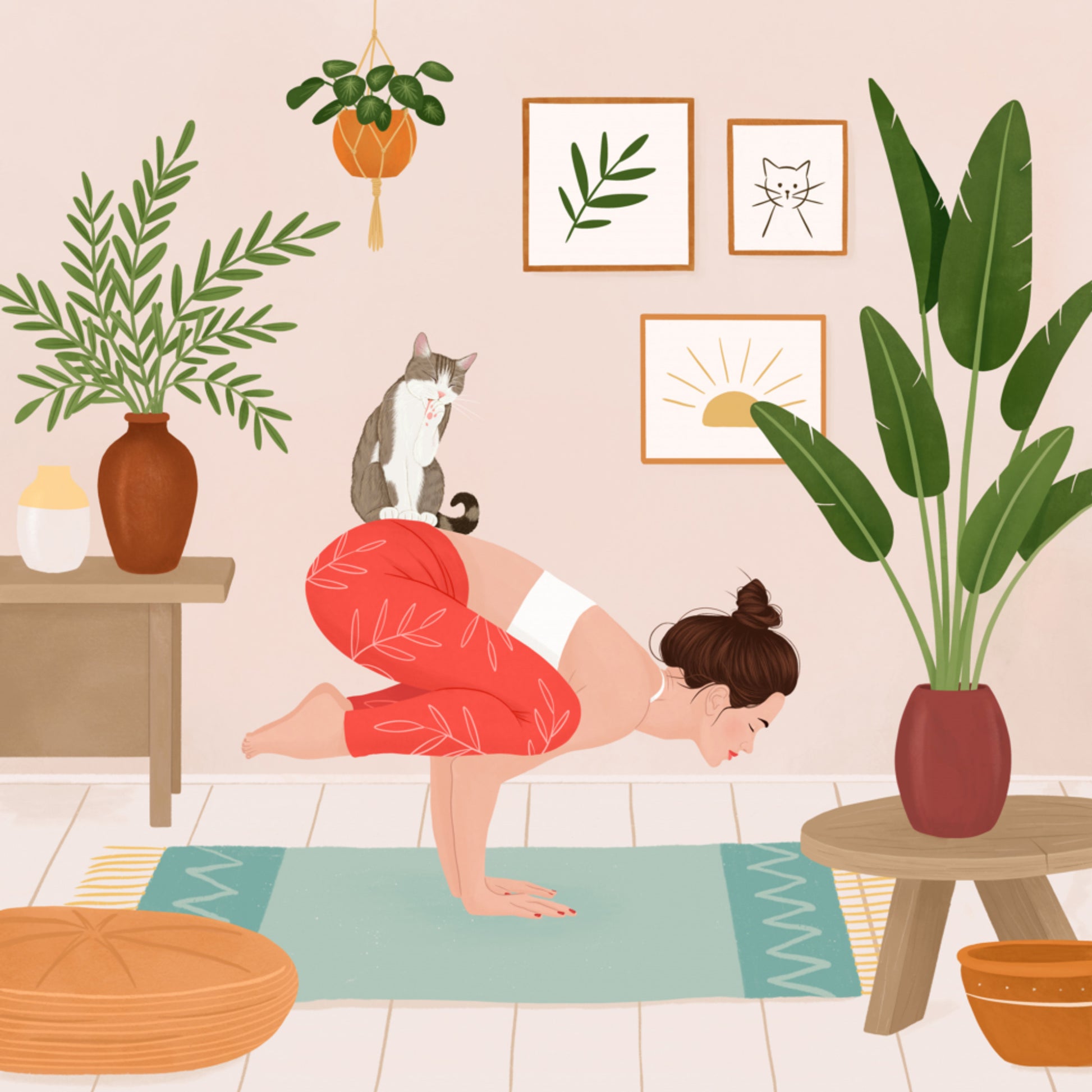 Gato de yoga pacífico