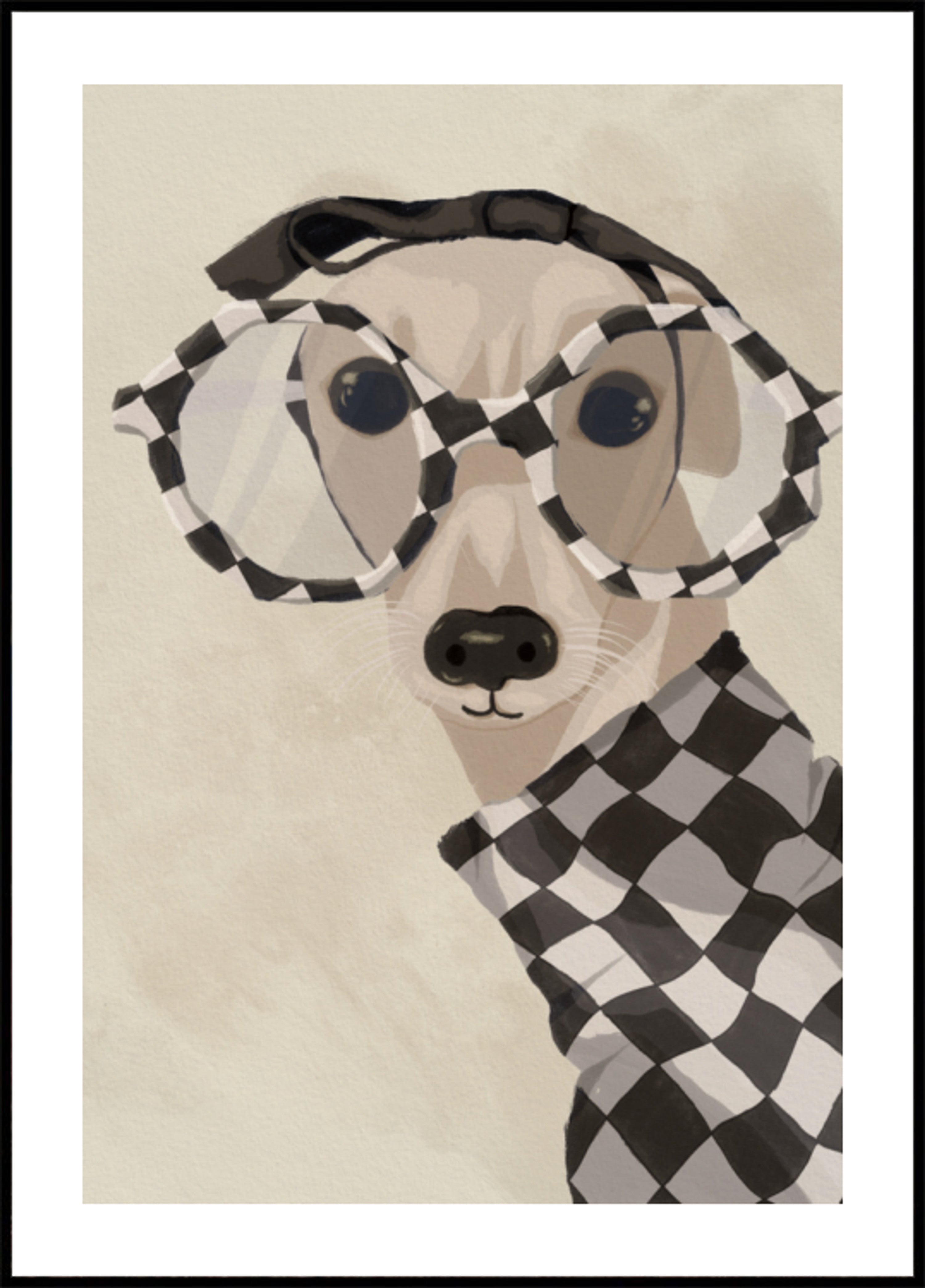 Galgo elegante con gafas