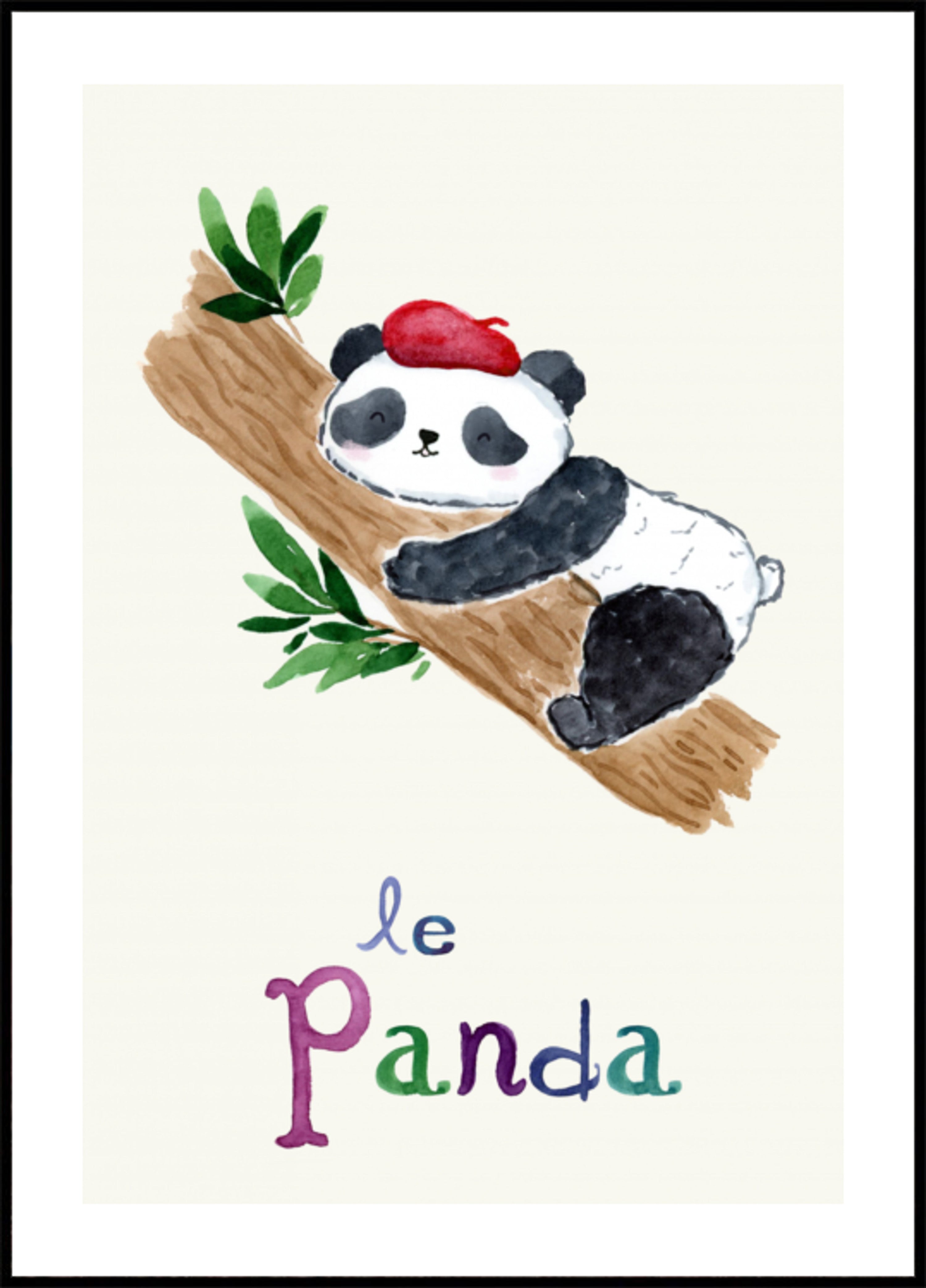 Panda francés durmiendo