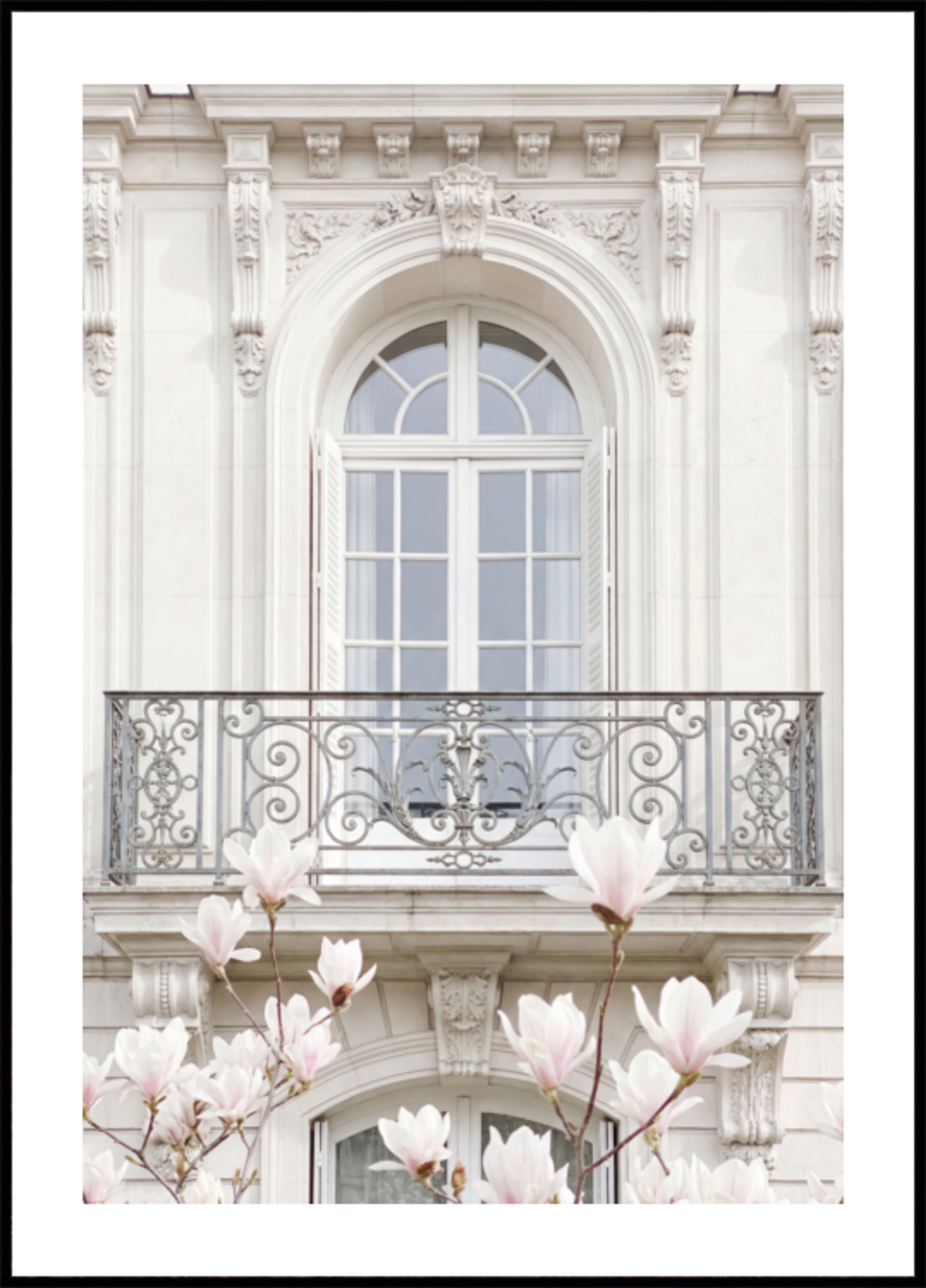 Magnolias de fachada blanca