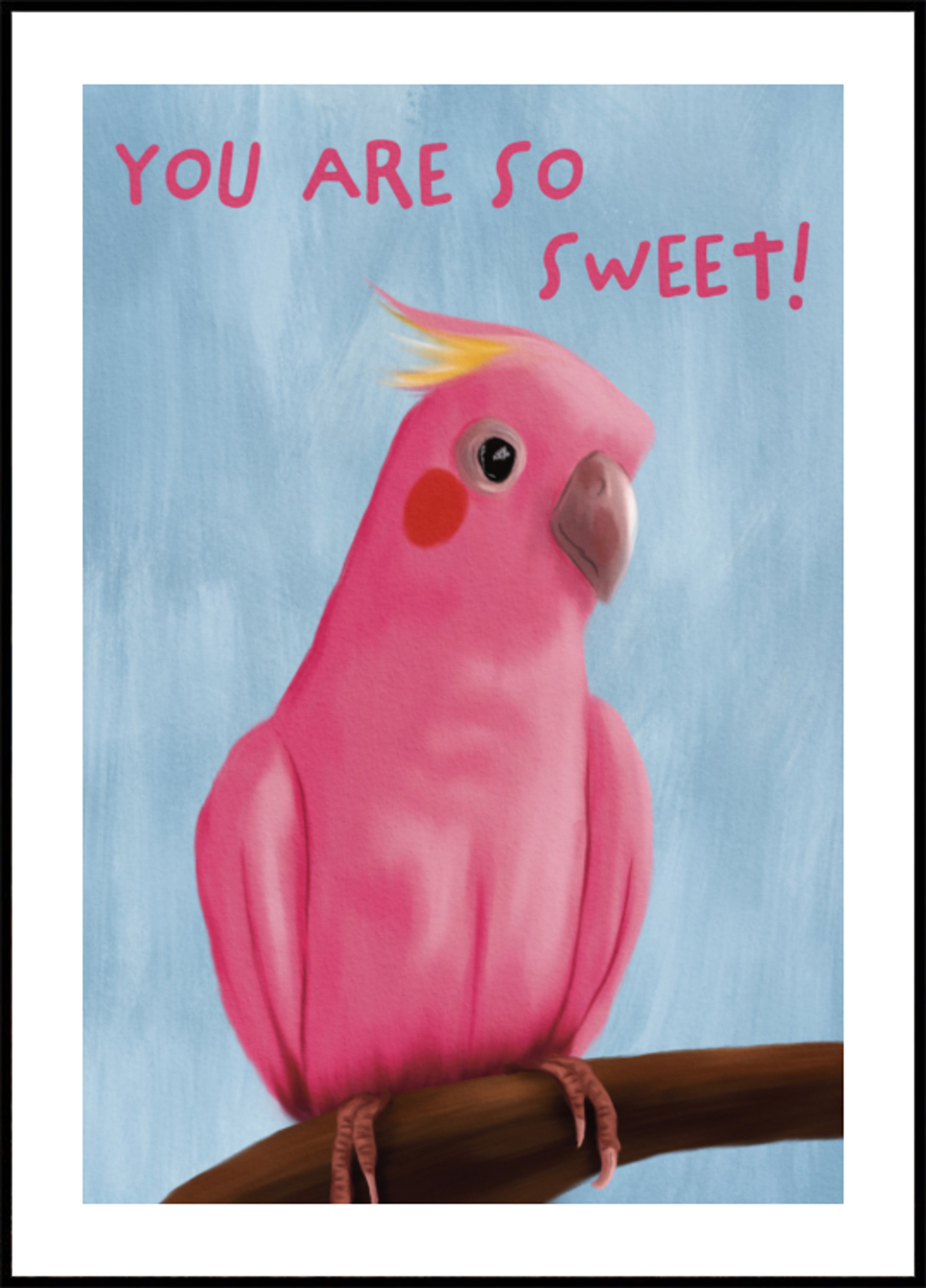 Galah rosa dulce