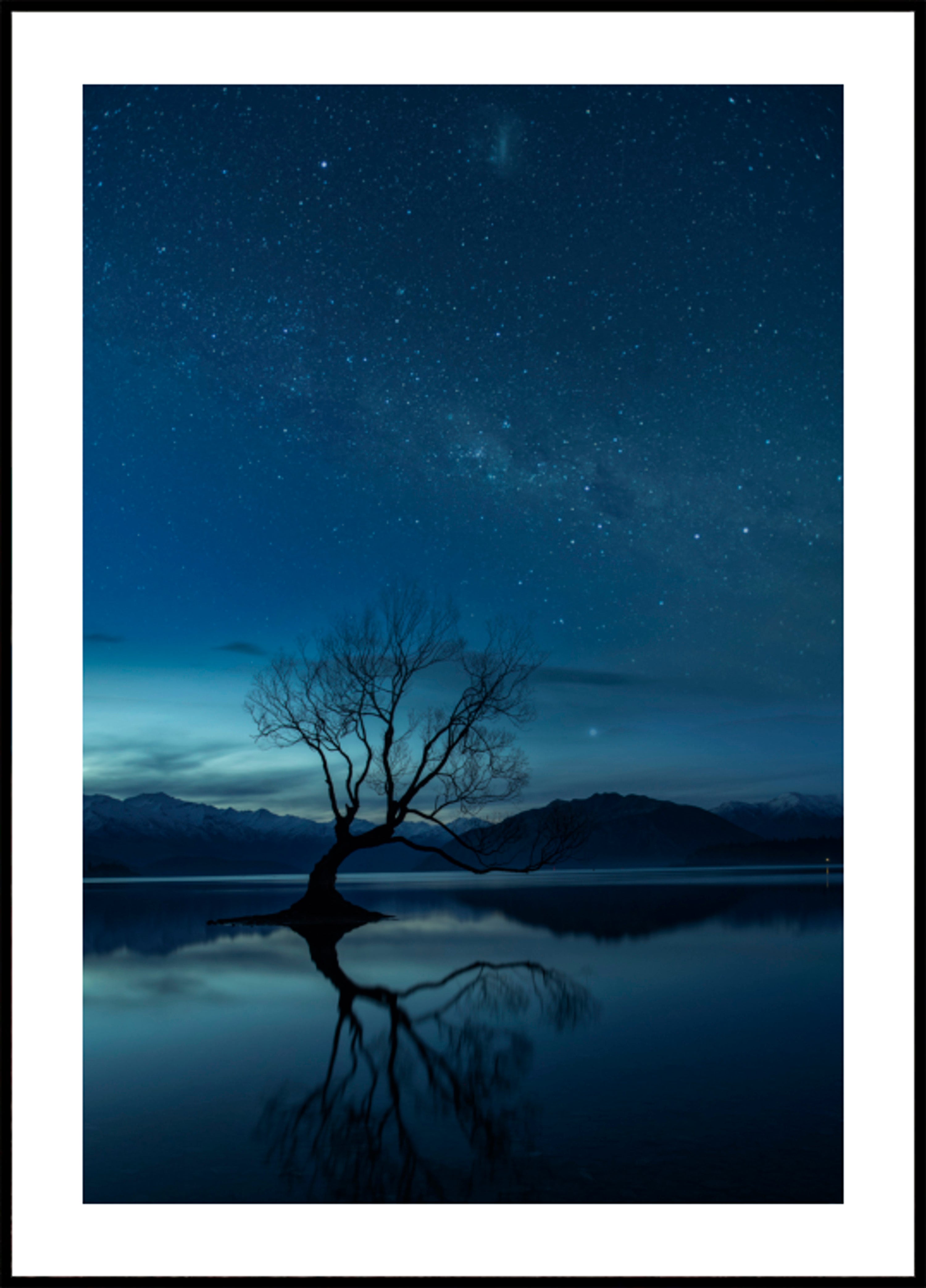 Noche estrellada del árbol solitario