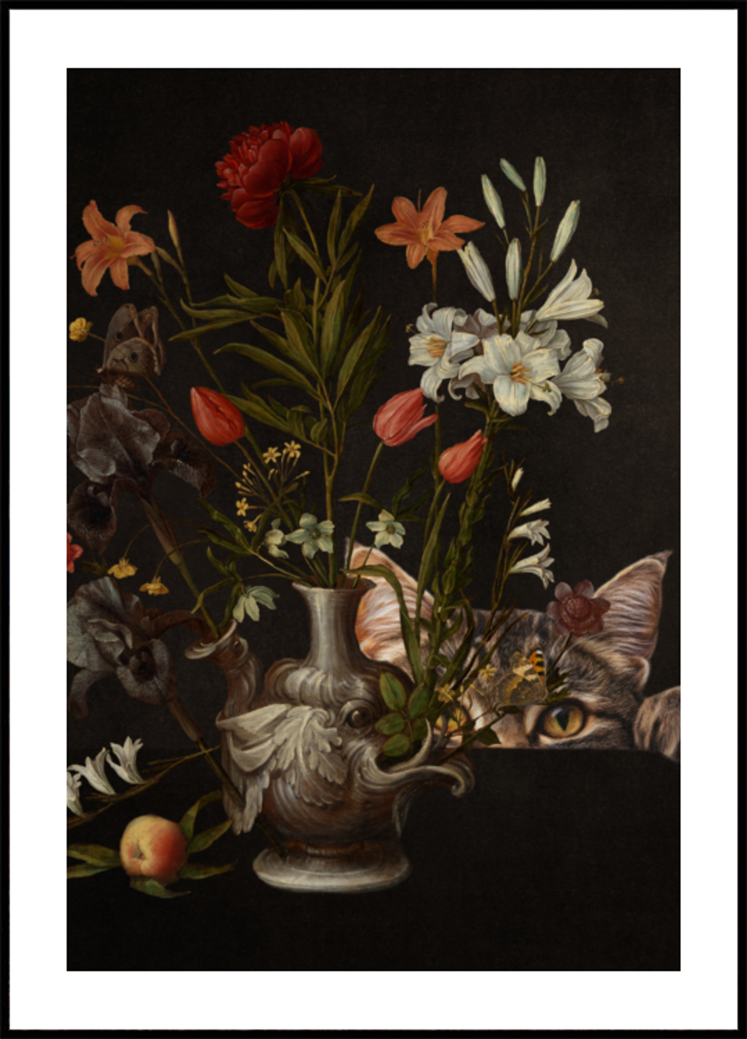Flores de gato curioso