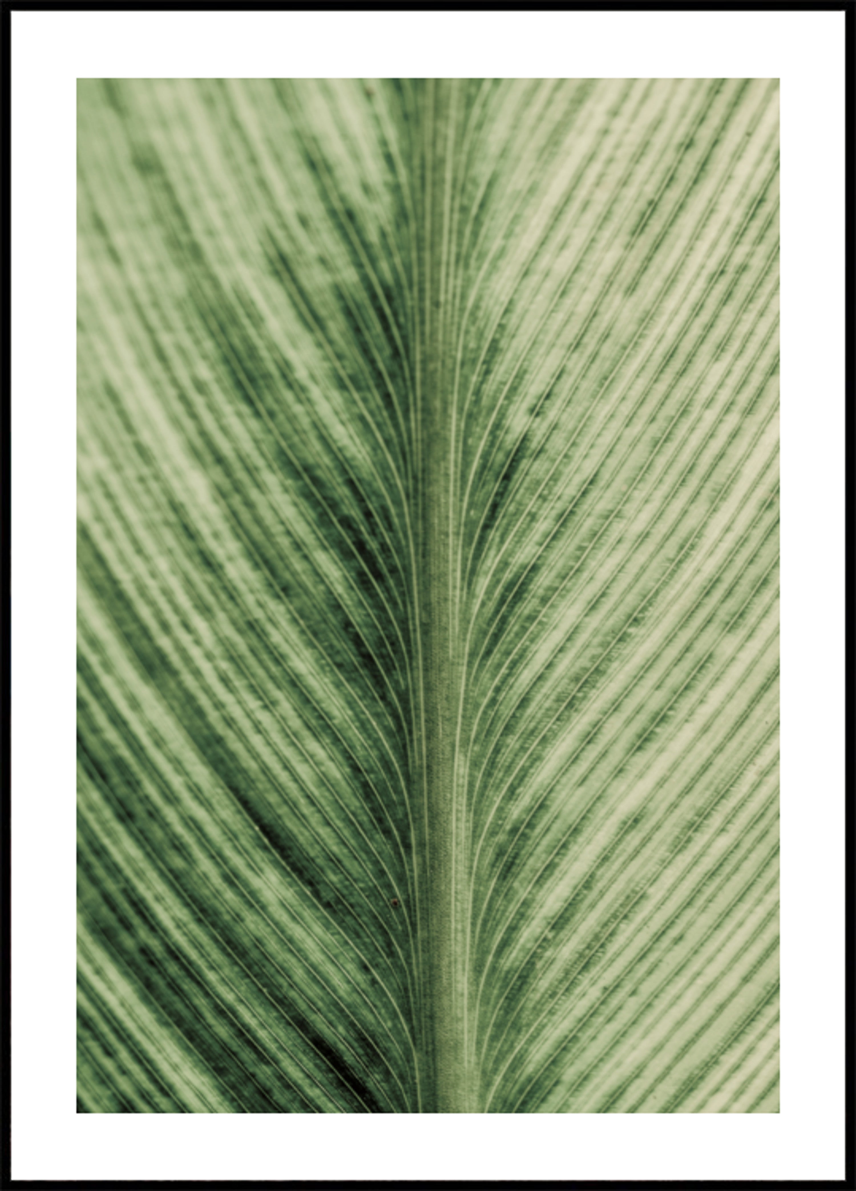 Venas verdes