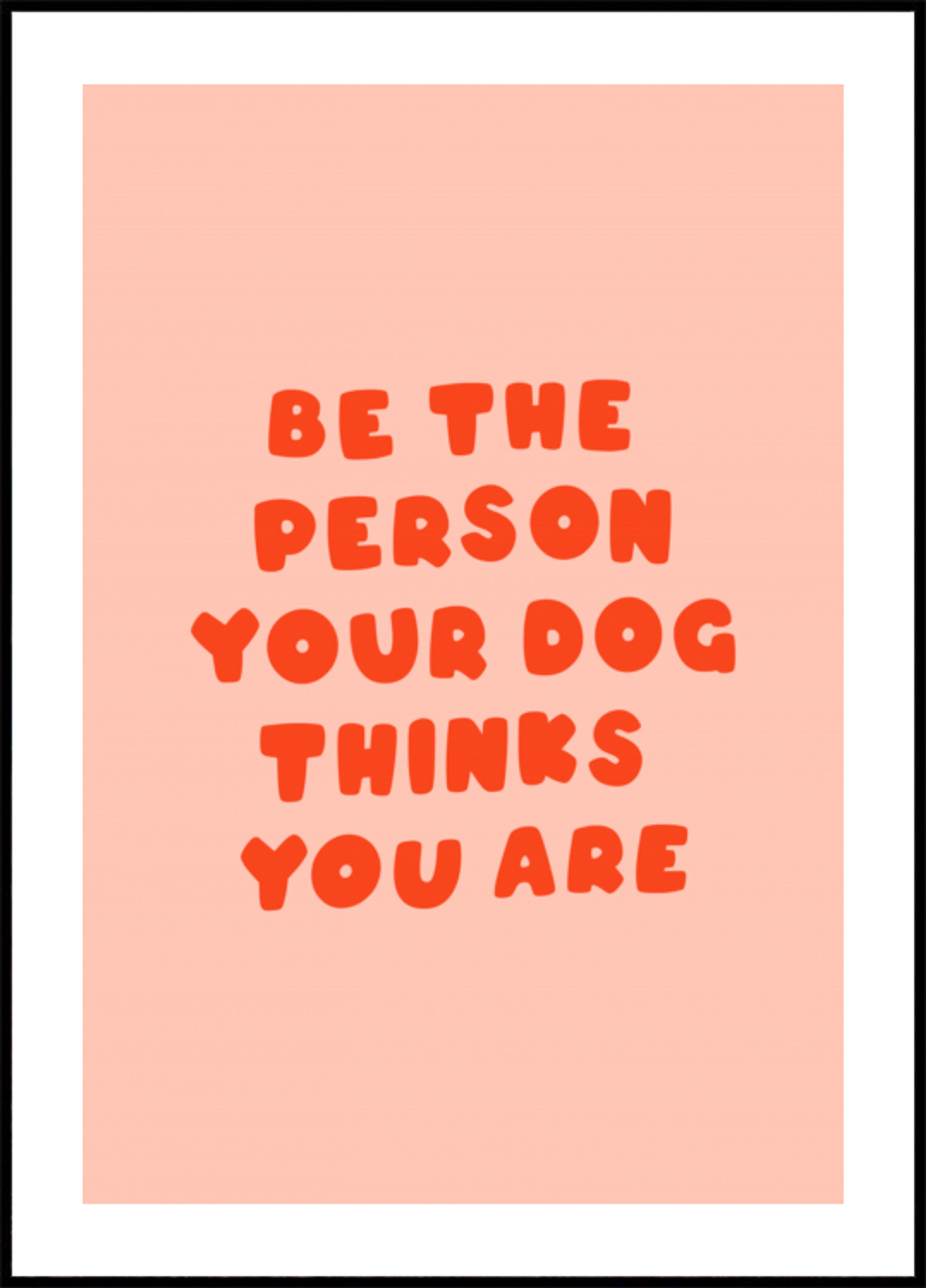 La persona favorita del perro