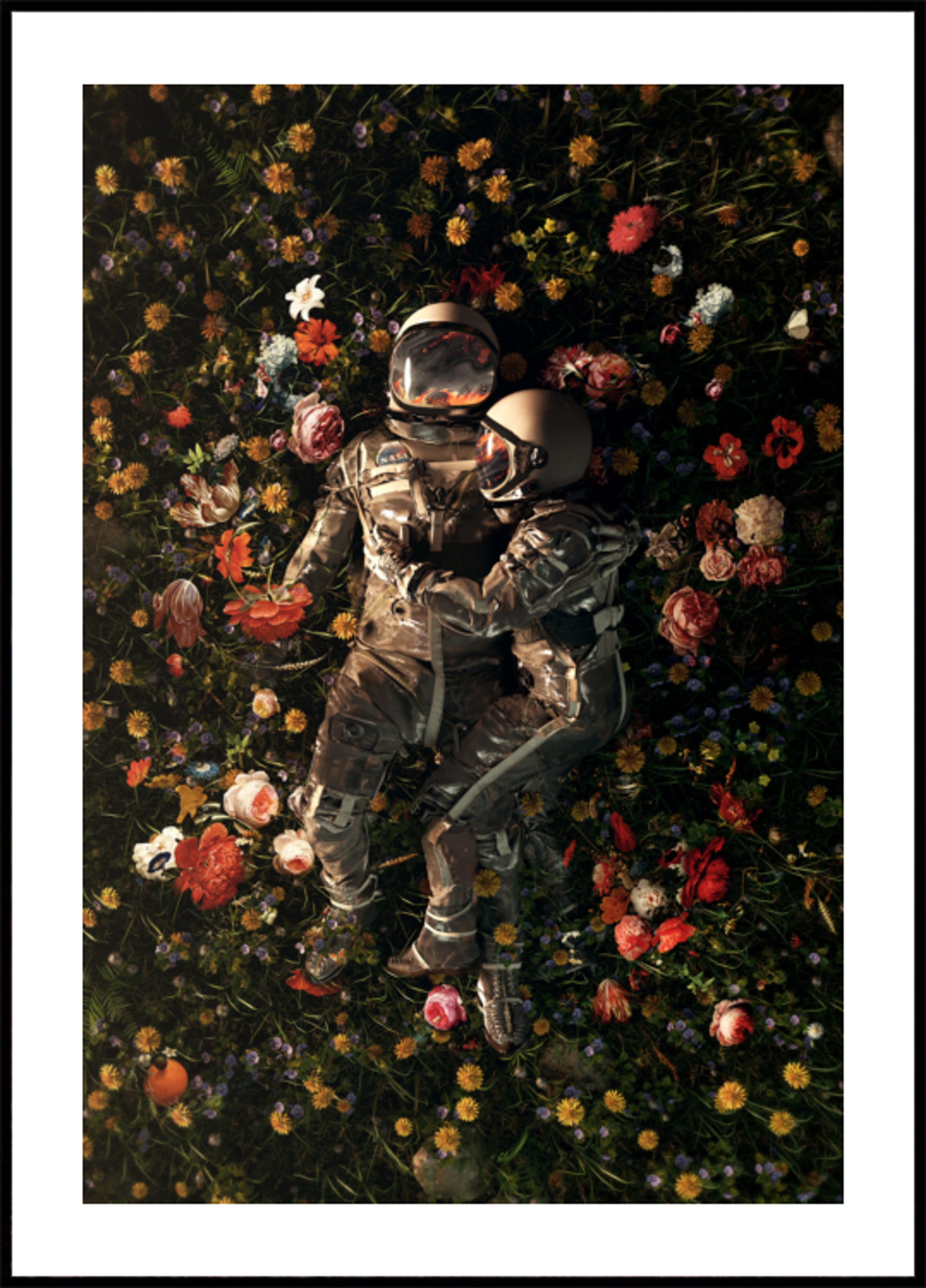 Floración de pareja cósmica
