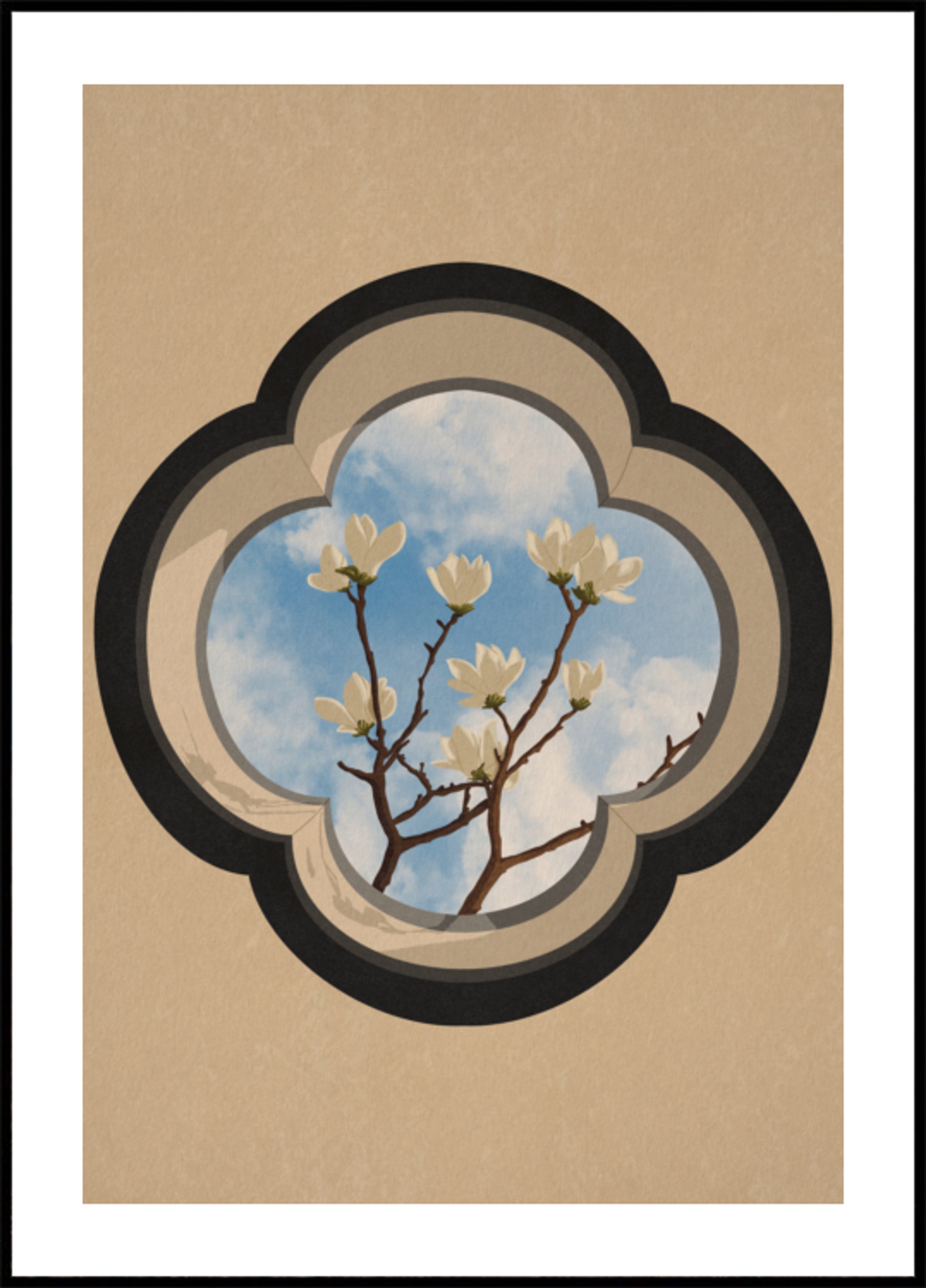 Ventana del cielo de magnolia