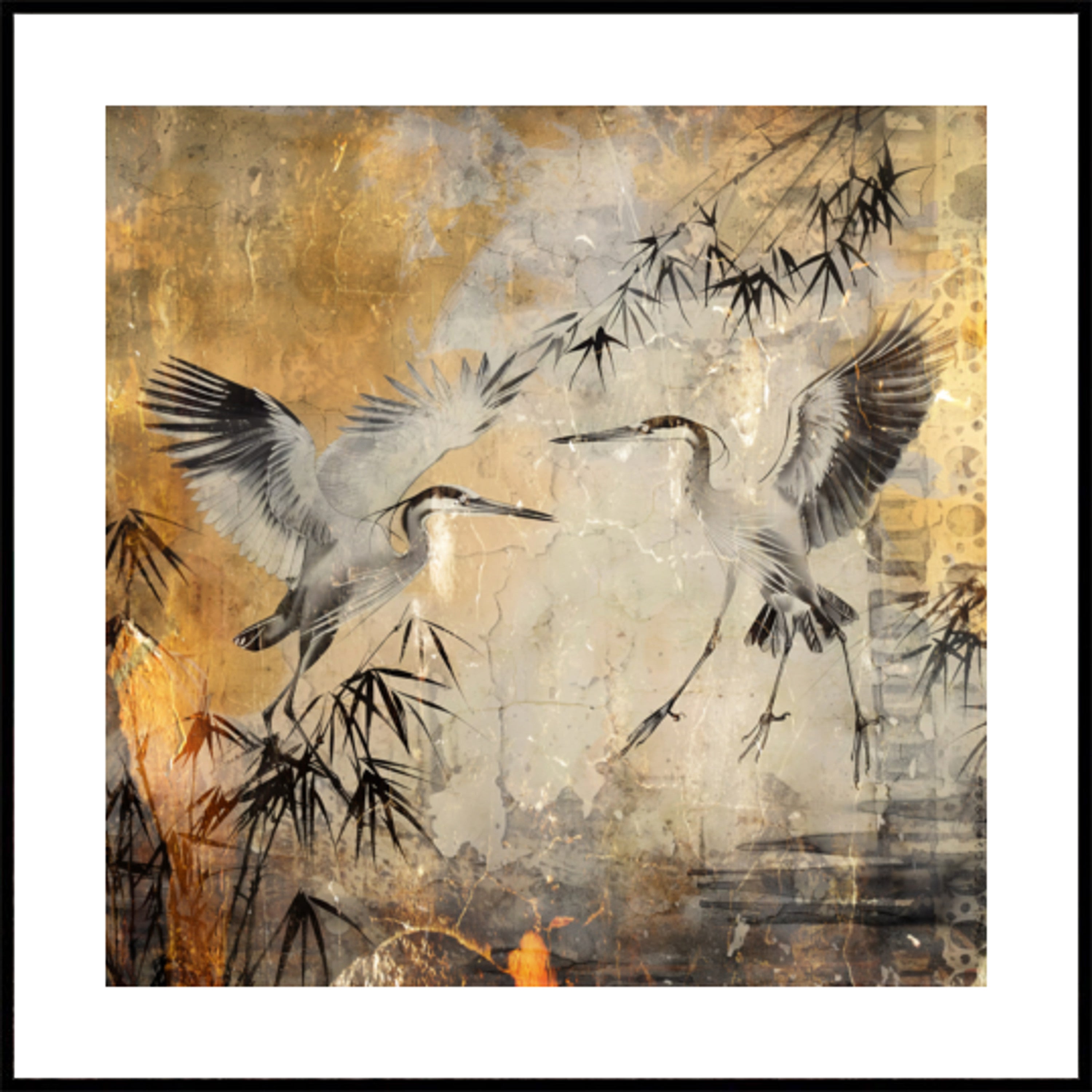 Pájaro Pájaros Animal Arte Vintage Ilustración Wallart 25