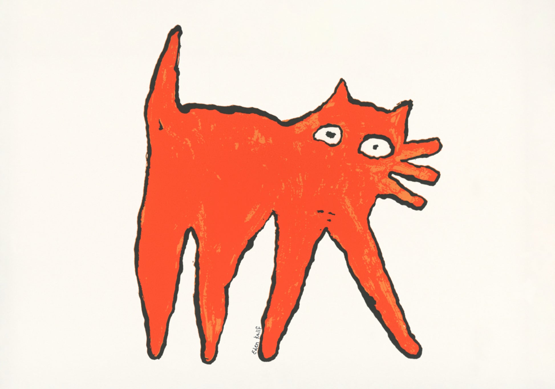 gato naranja