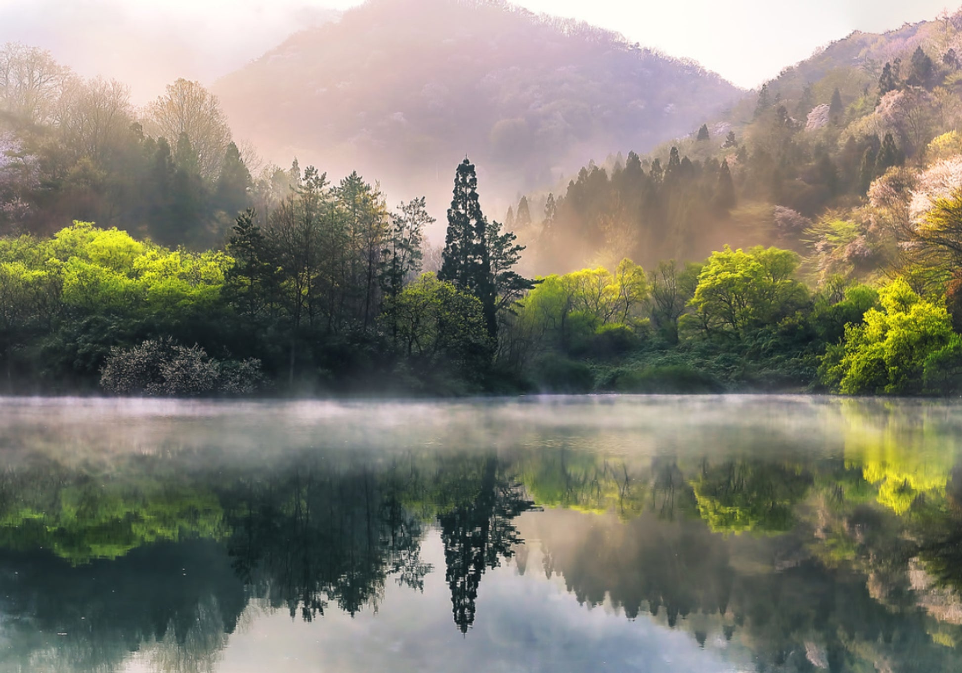 Reflejo brumoso del lago Spring