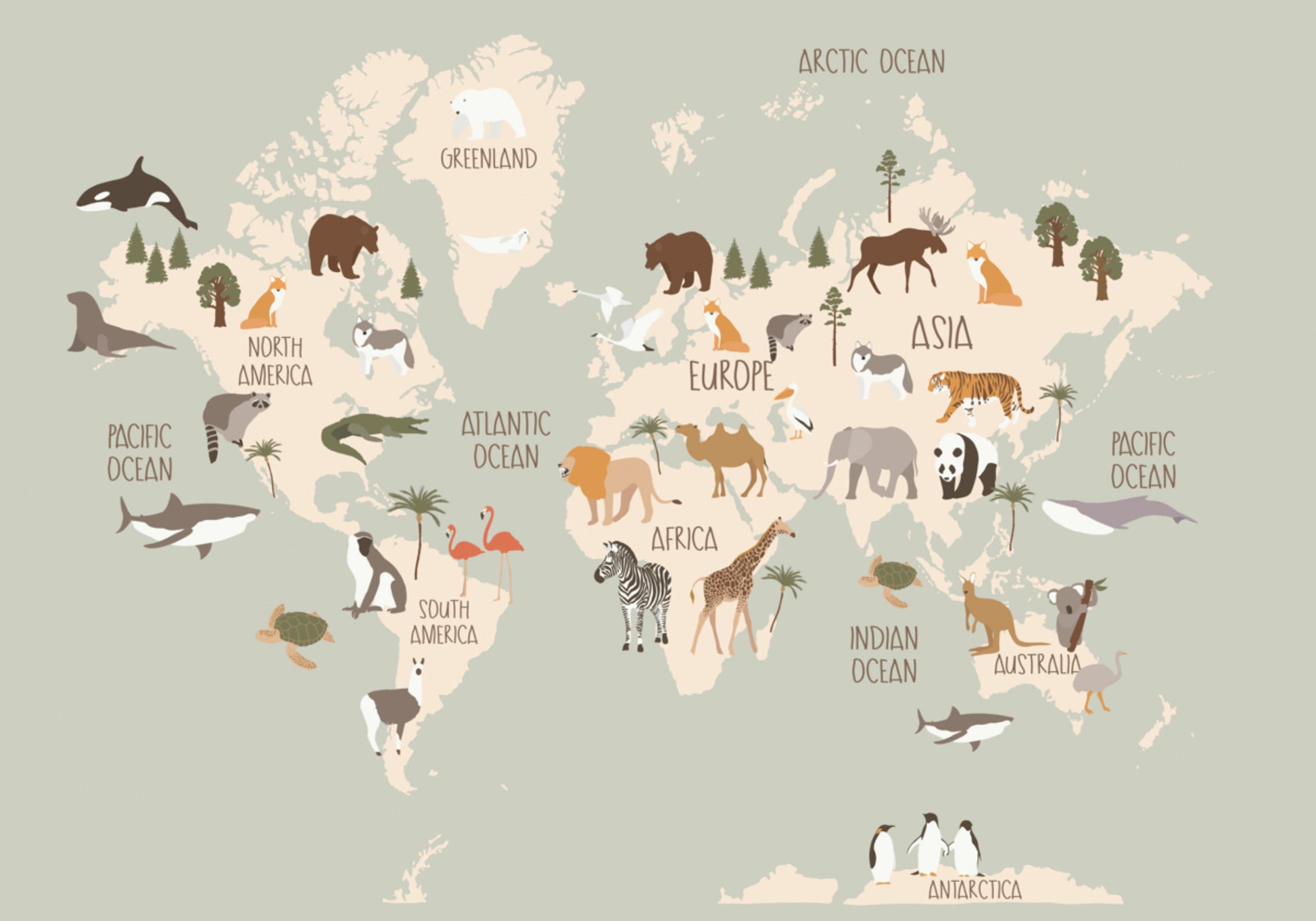 Mapa mundial de vida silvestre