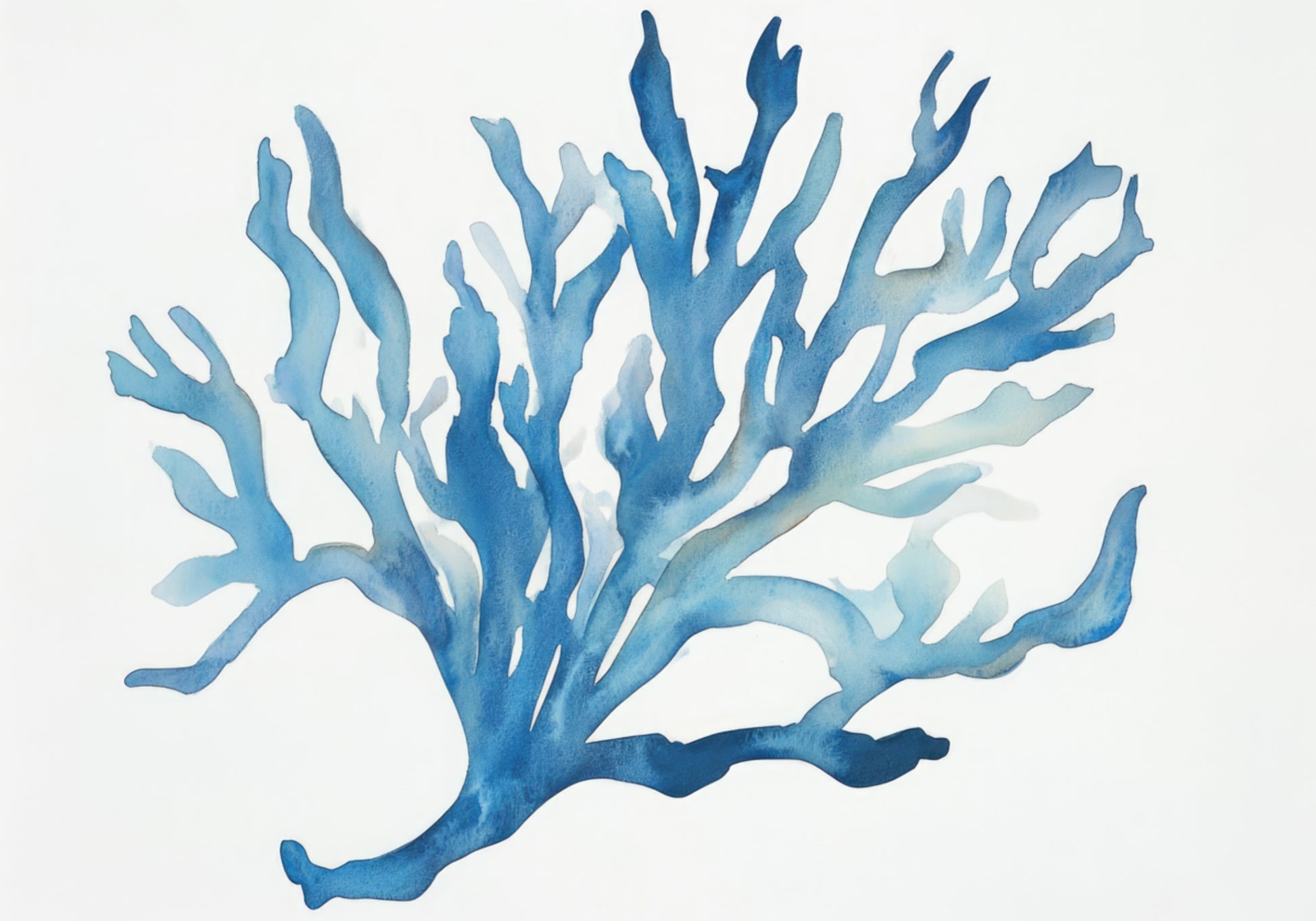 coral azul