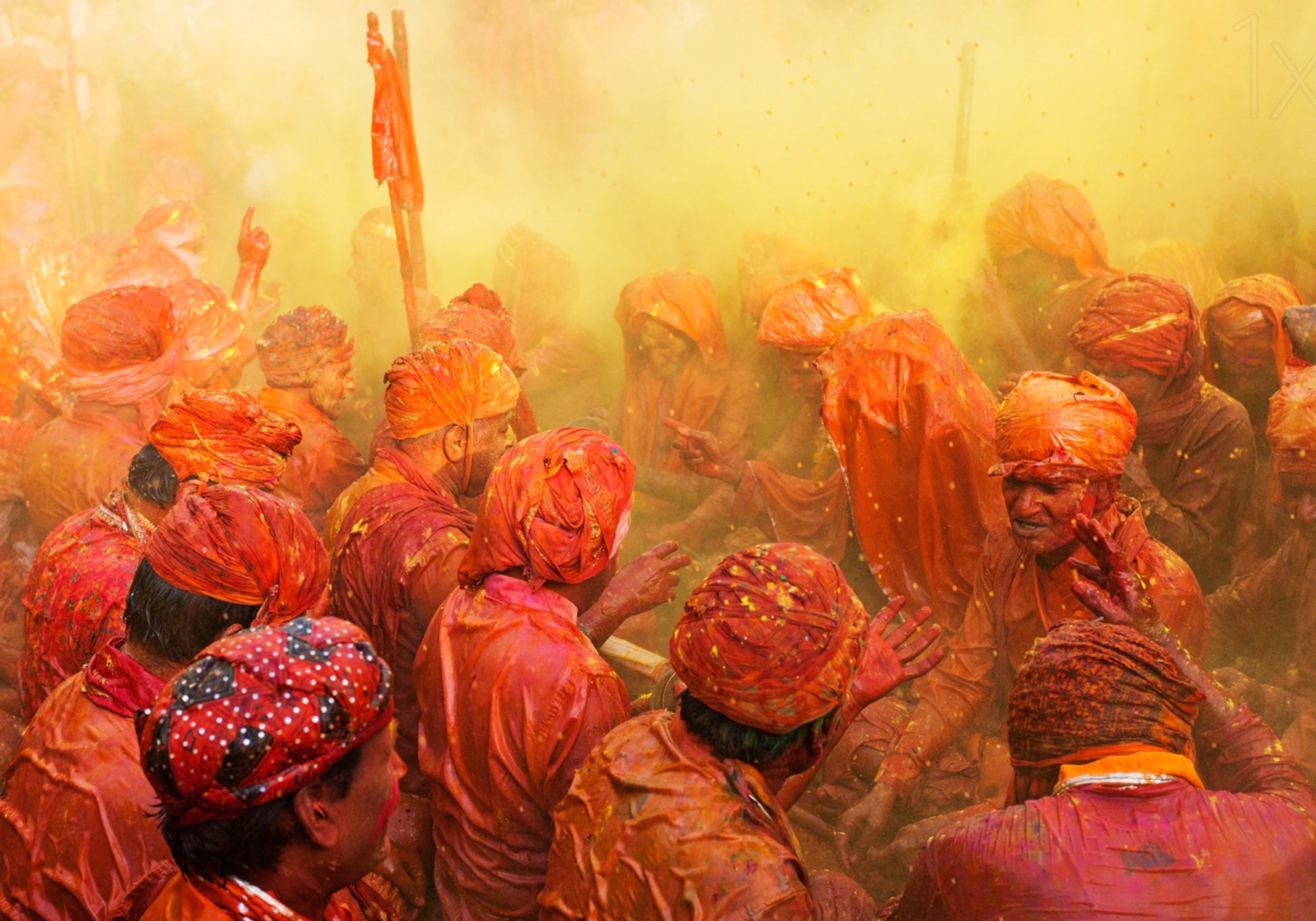 Celebración vibrante de Holi