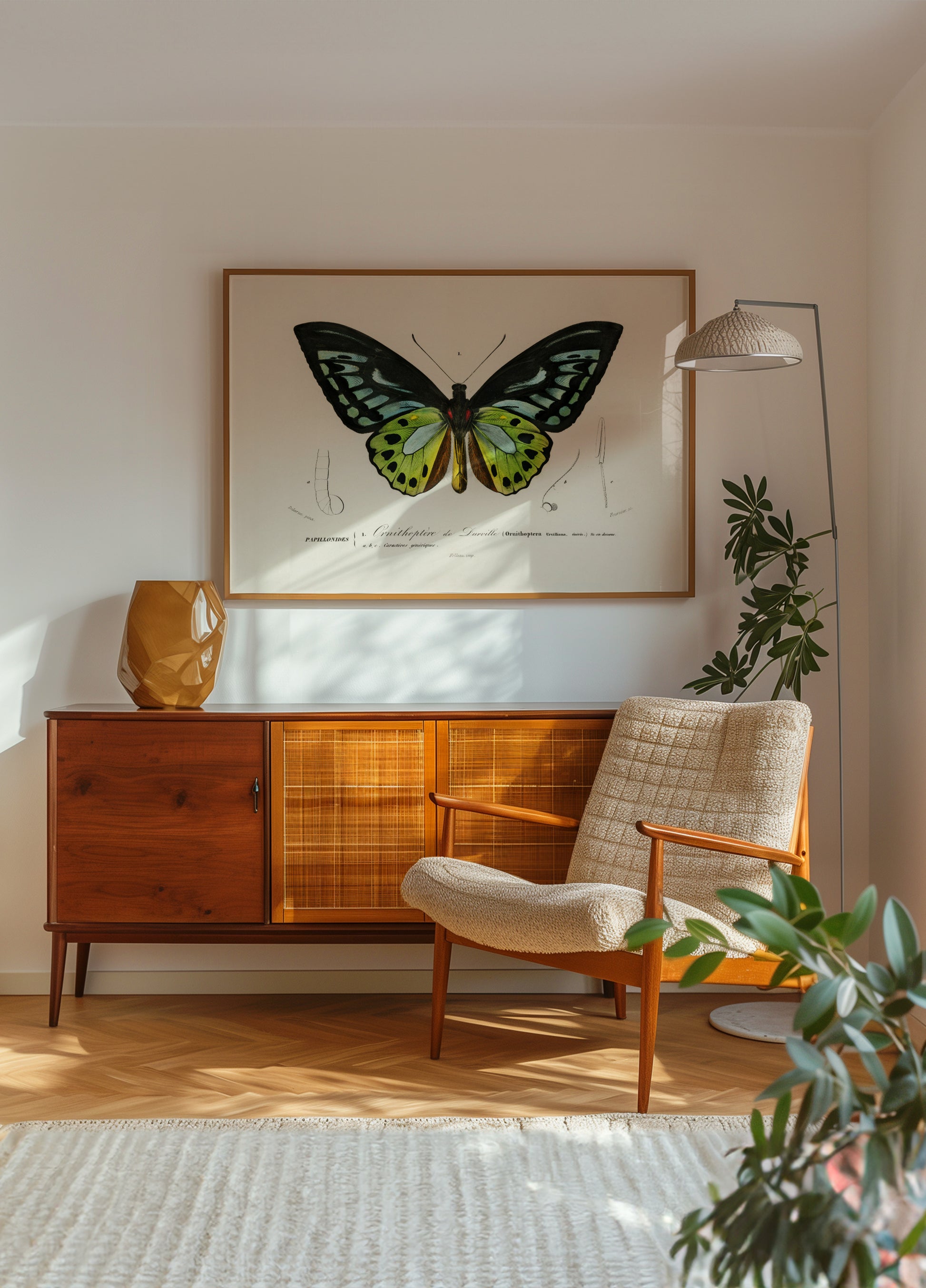 Mariposa ala de pájaro verde