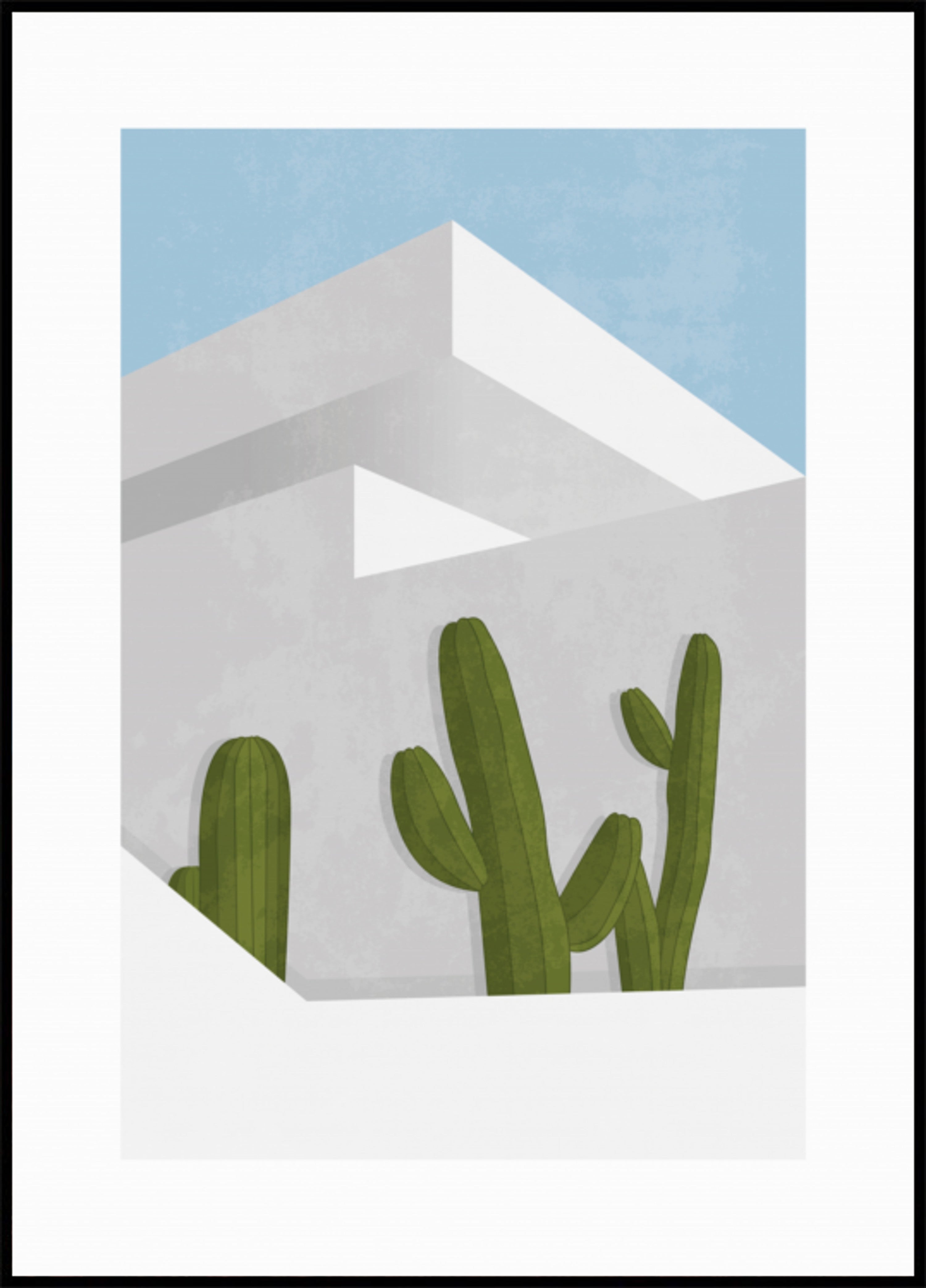 Cactus minimalistas del desierto