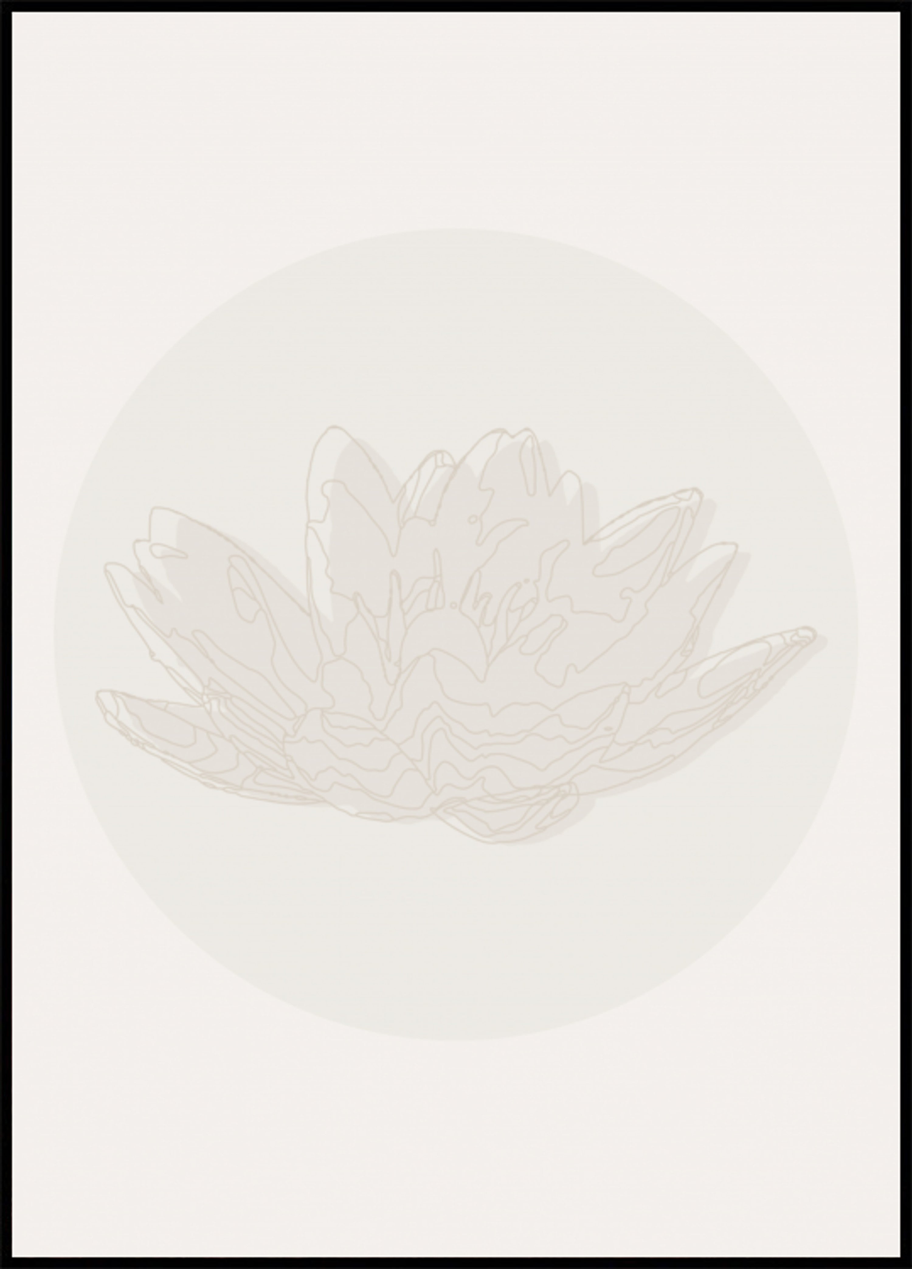 Flor de loto serena