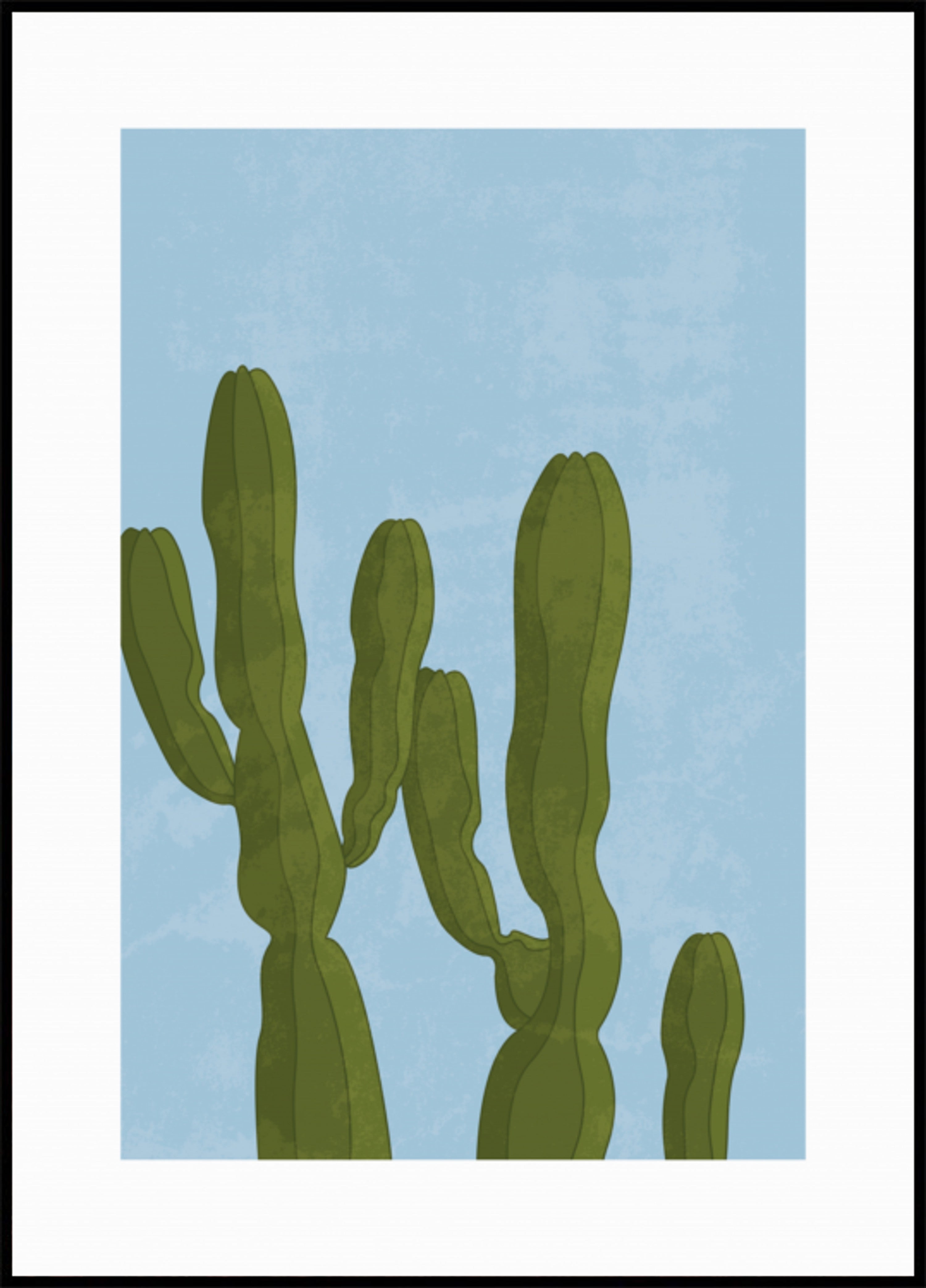 Imponentes cactus del desierto