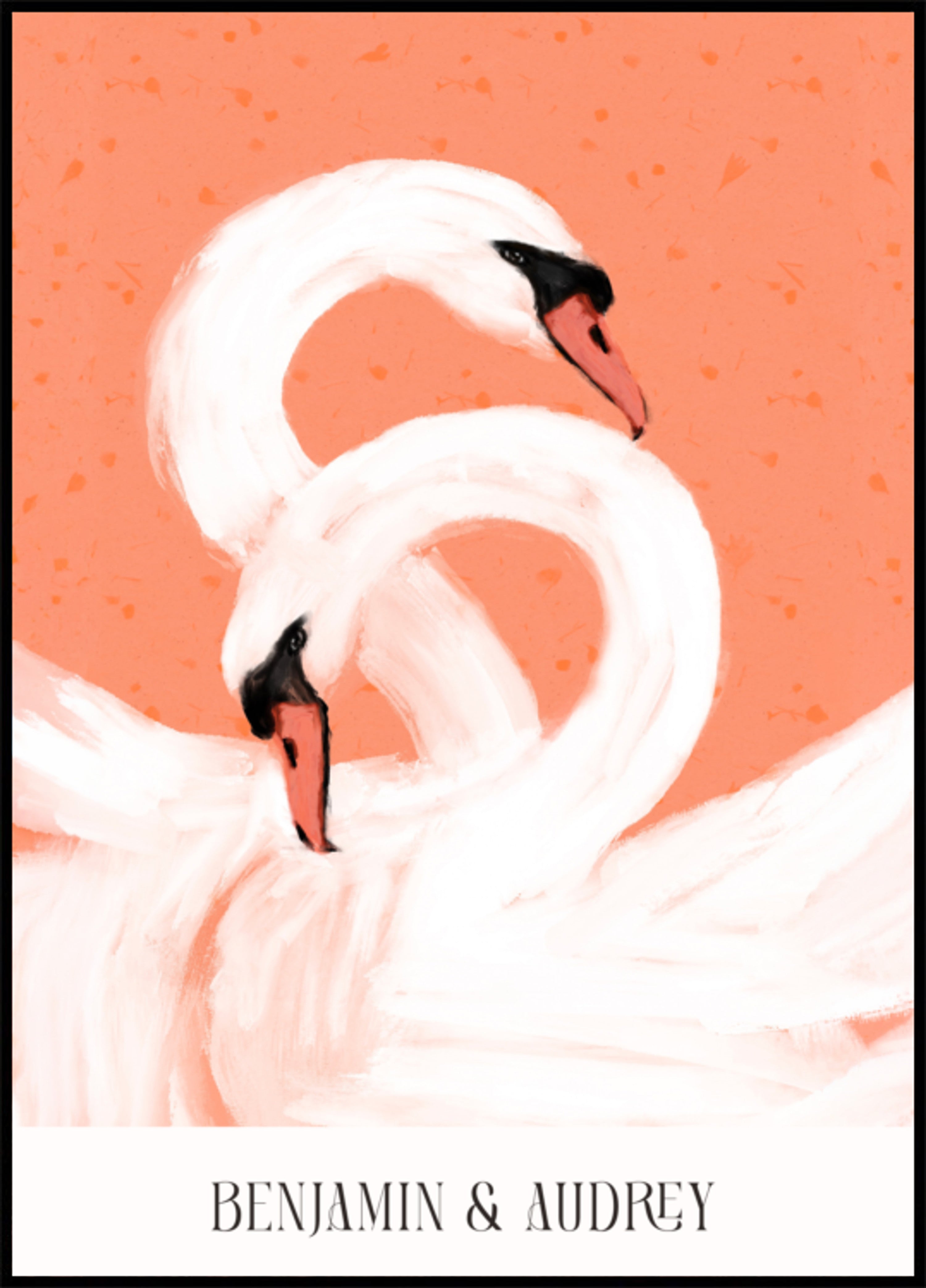 Cisnes elegantes sobre fondo de coral