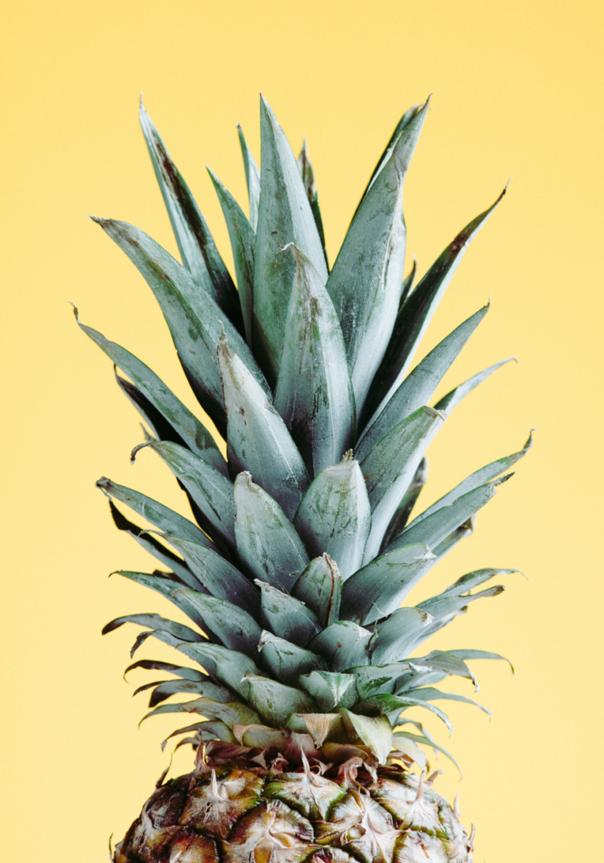 Amarillo Piña Tropical