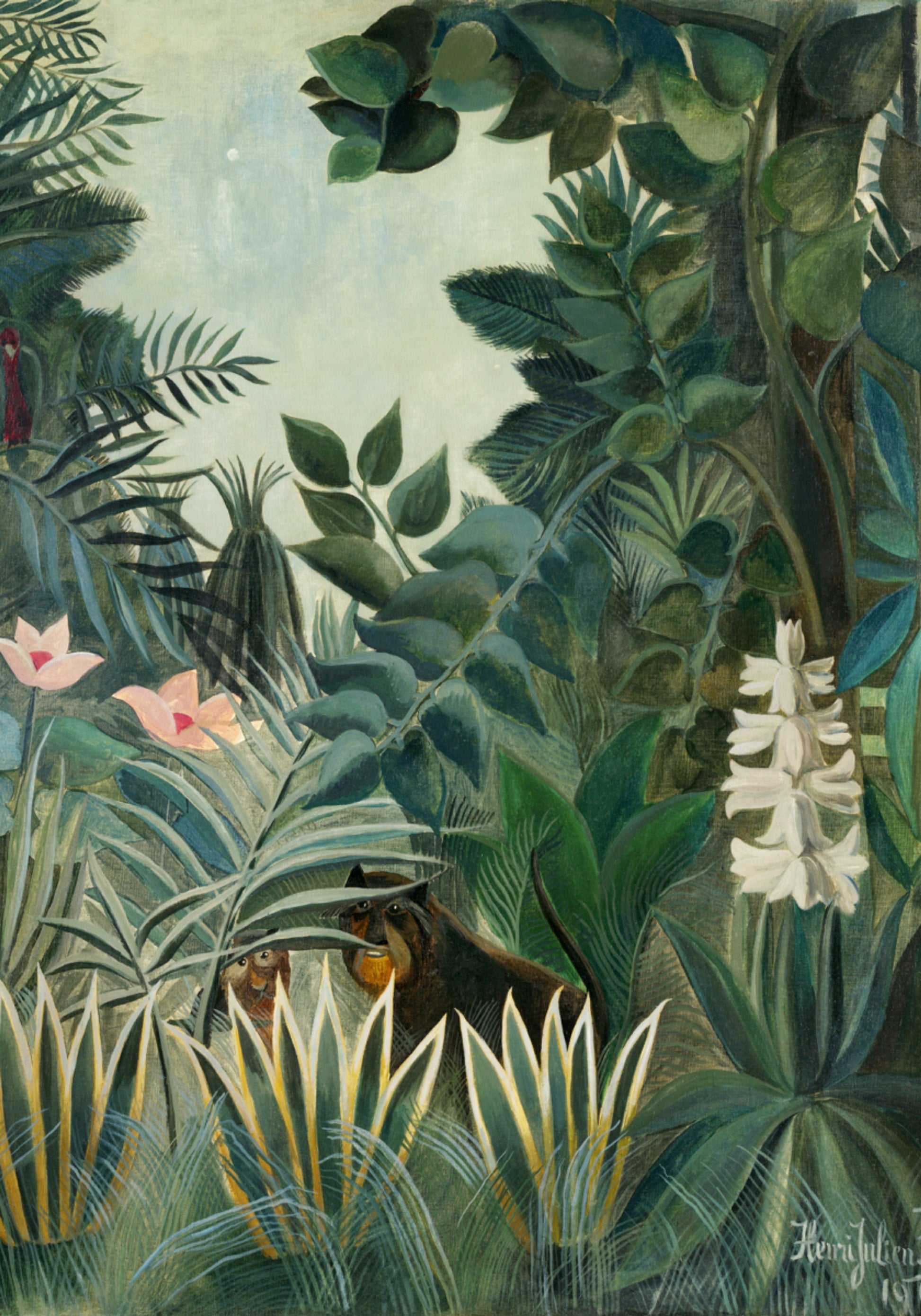 La selva ecuatorial