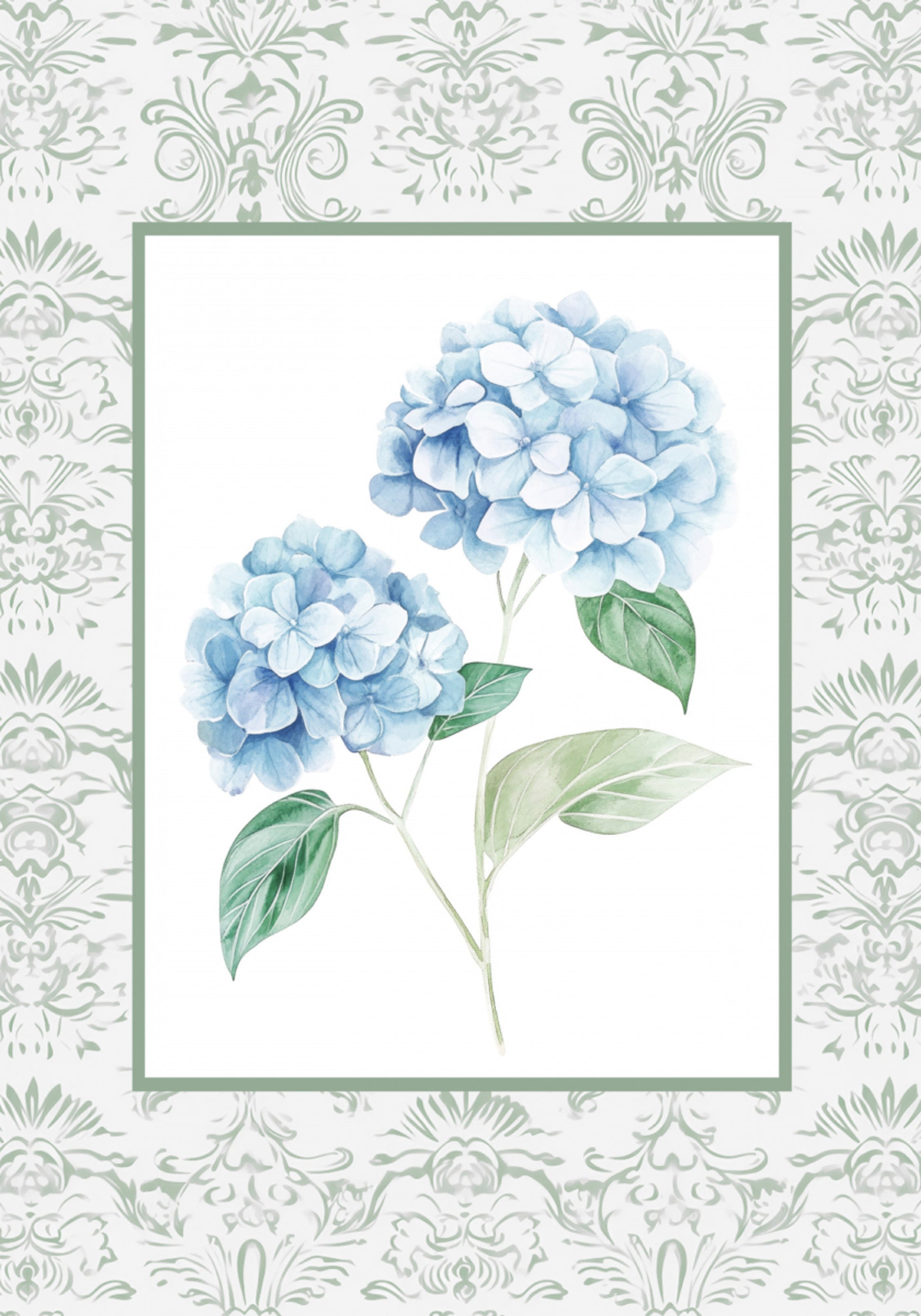 Hortensias 2