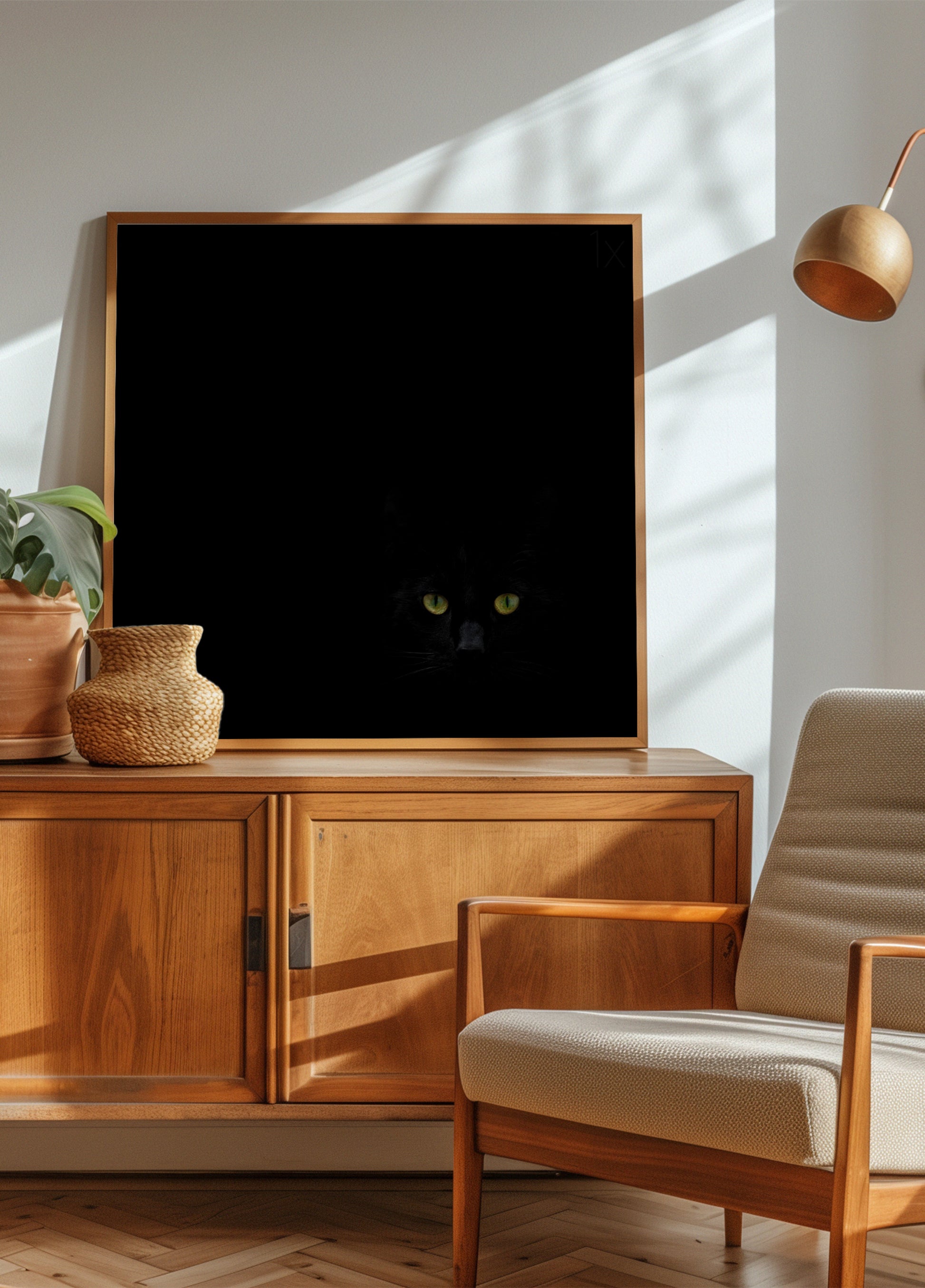 La mirada del gato negro