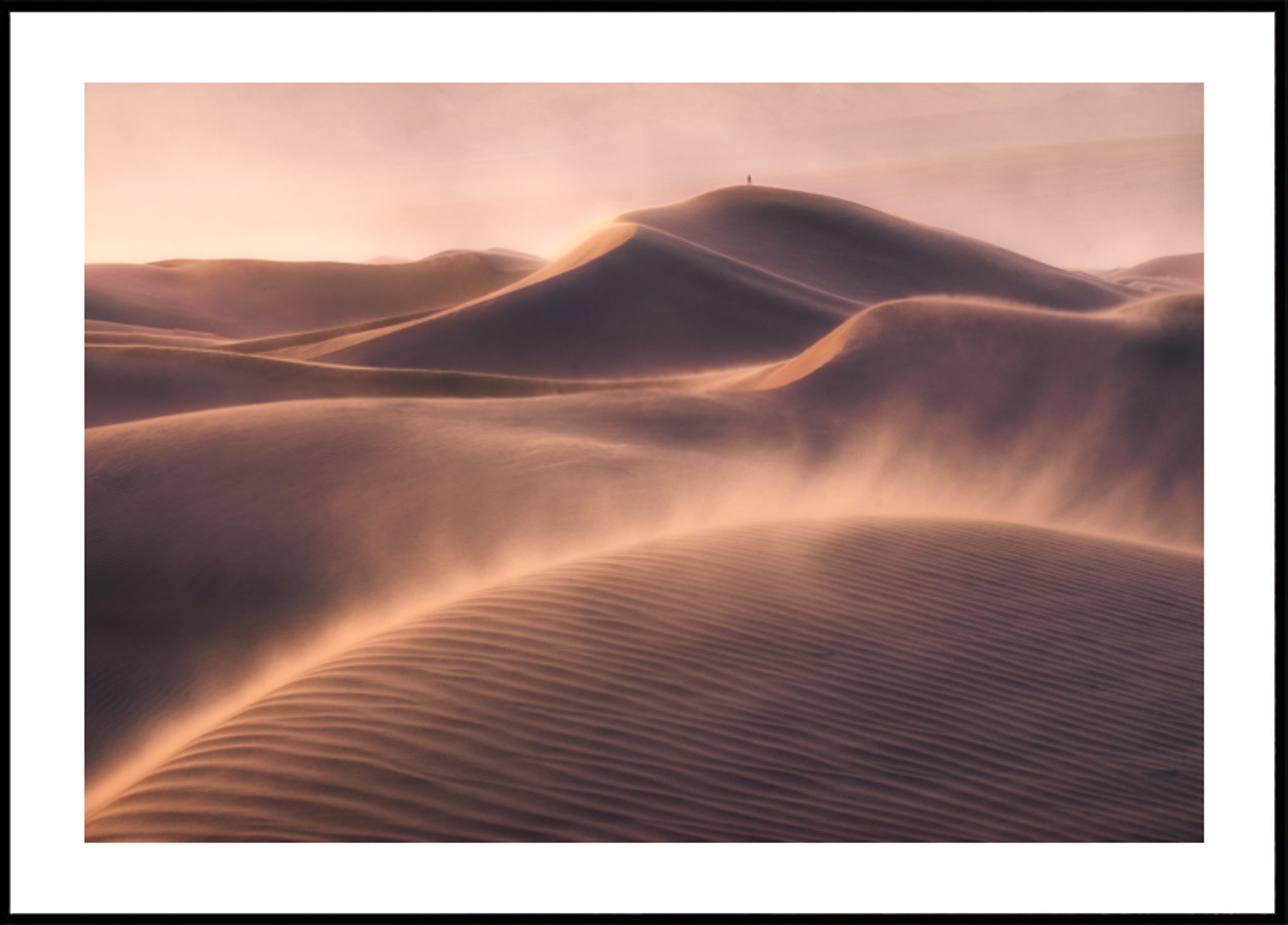 Soledad del desierto dorado