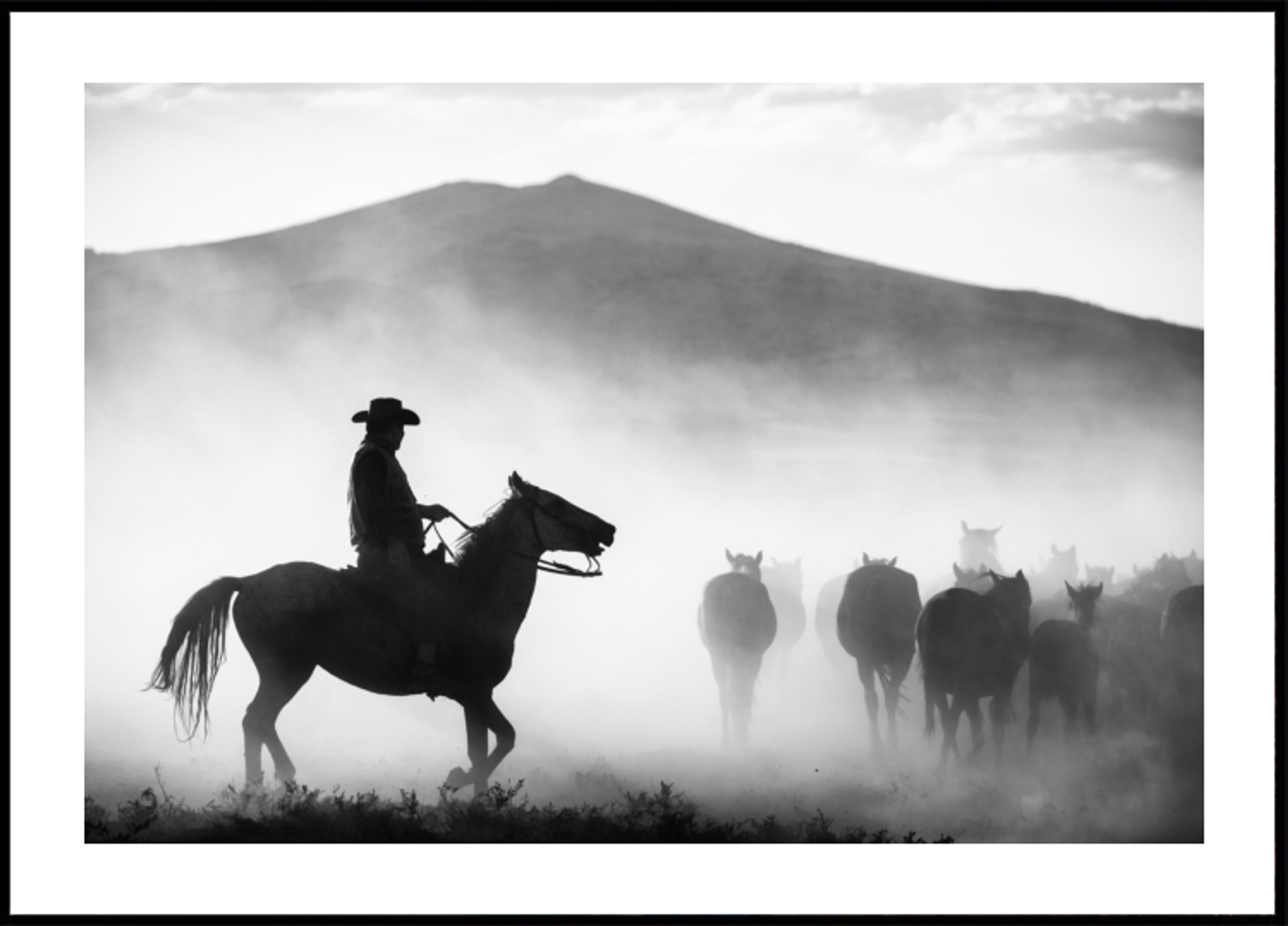 Vaquero pastoreando caballos