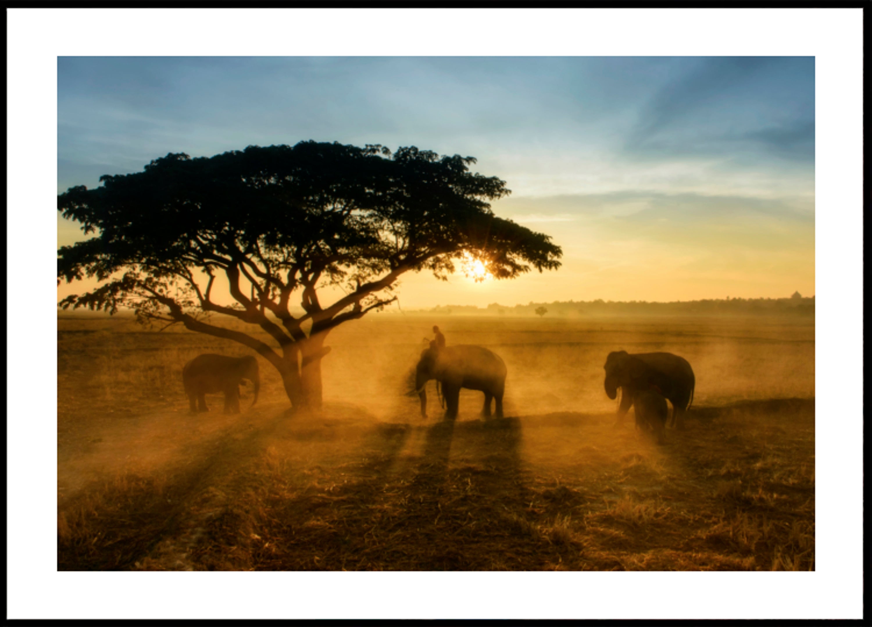 El atardecer dorado del elefante