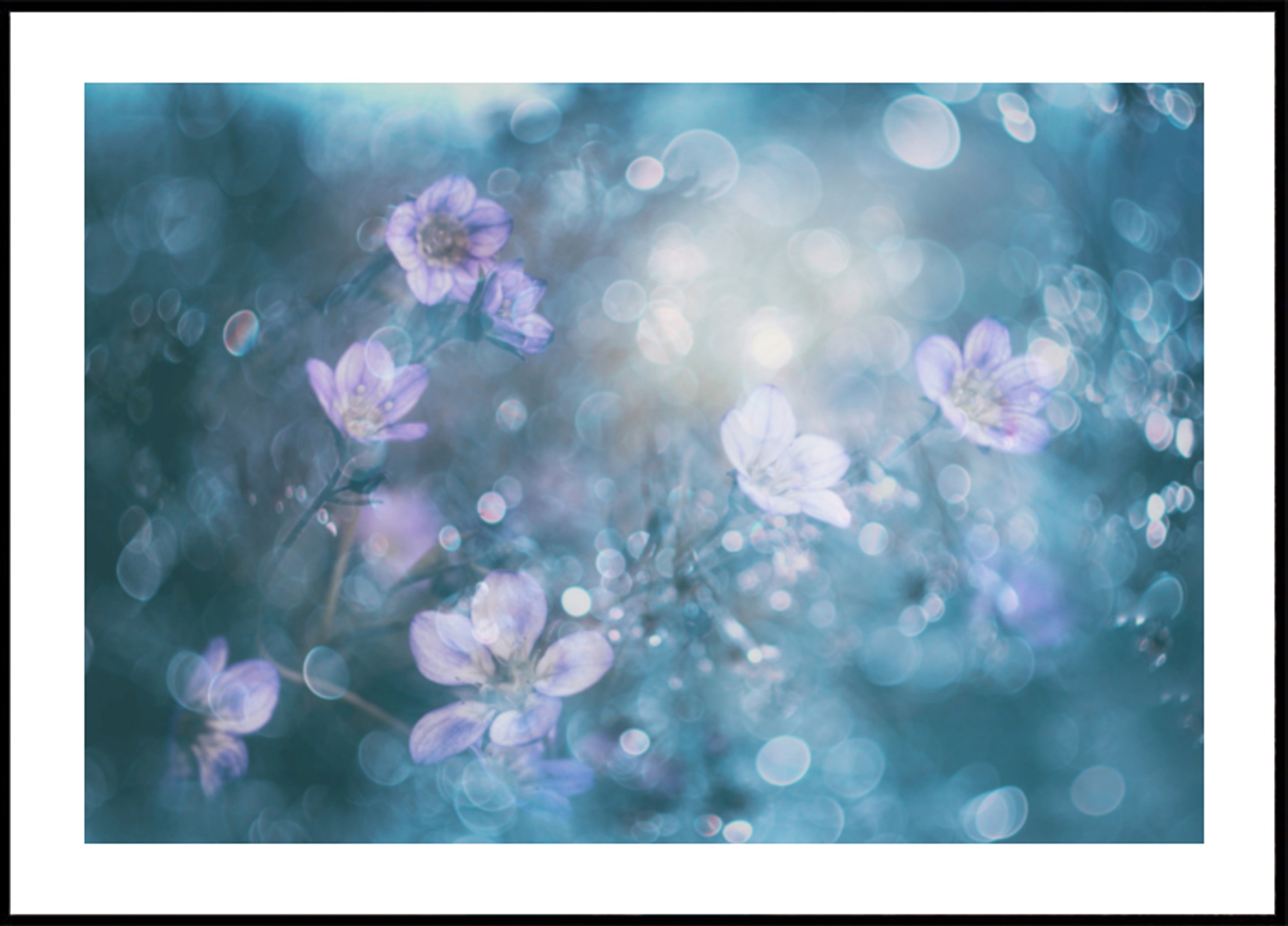 Flores bokeh de ensueño