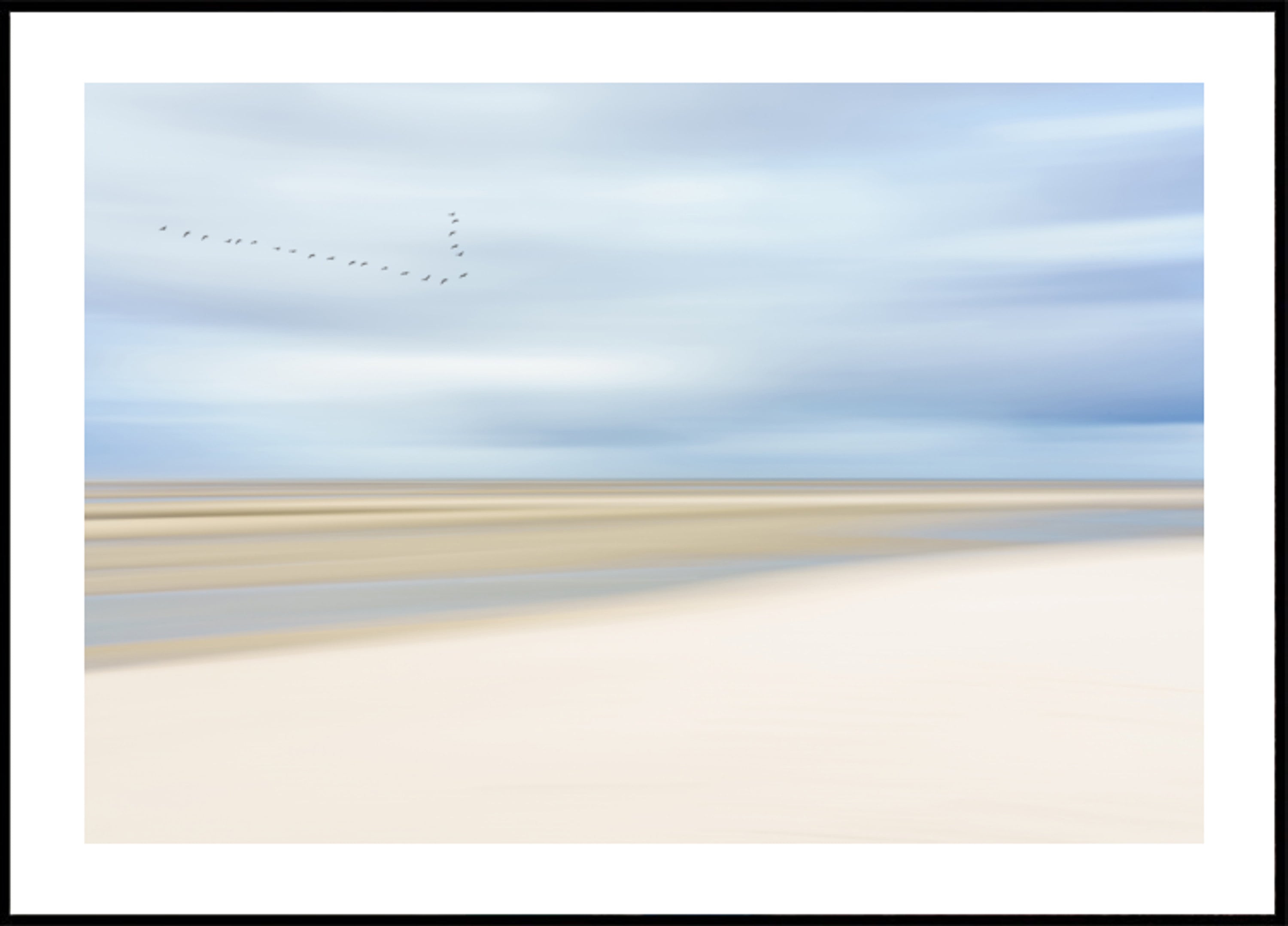 Aves sobre la costa serena