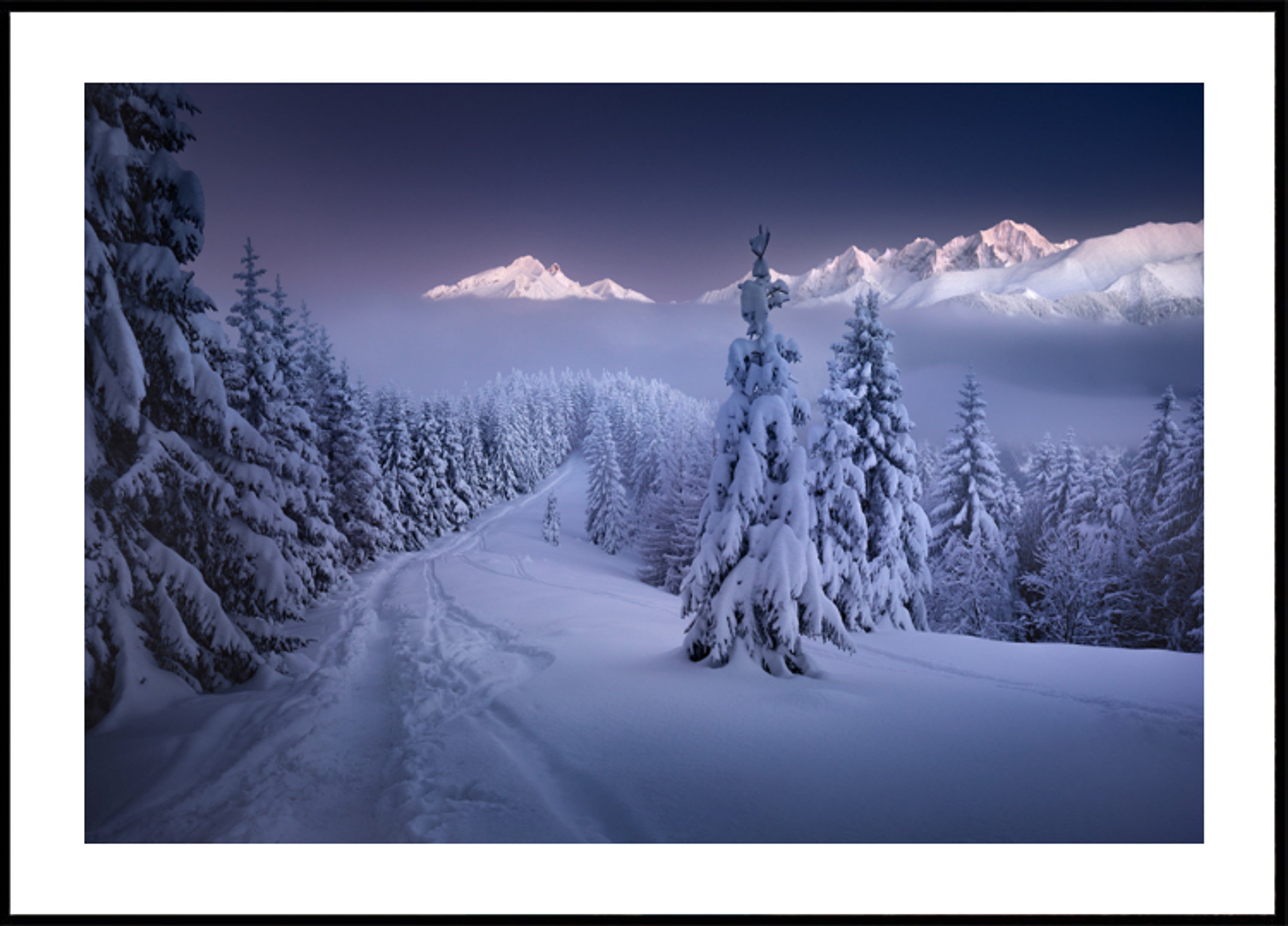 Camino de montaña del bosque de invierno