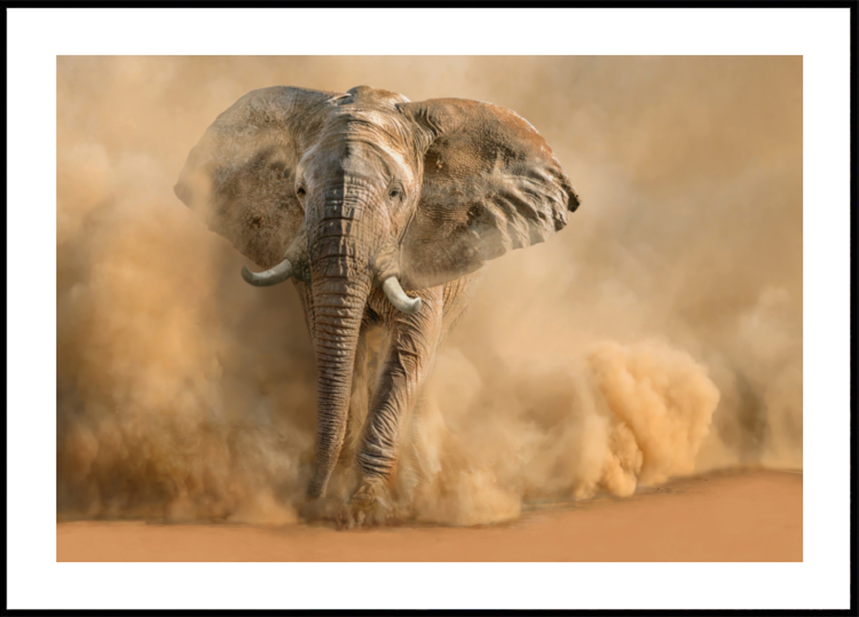 Majestuosa nube de polvo de elefante