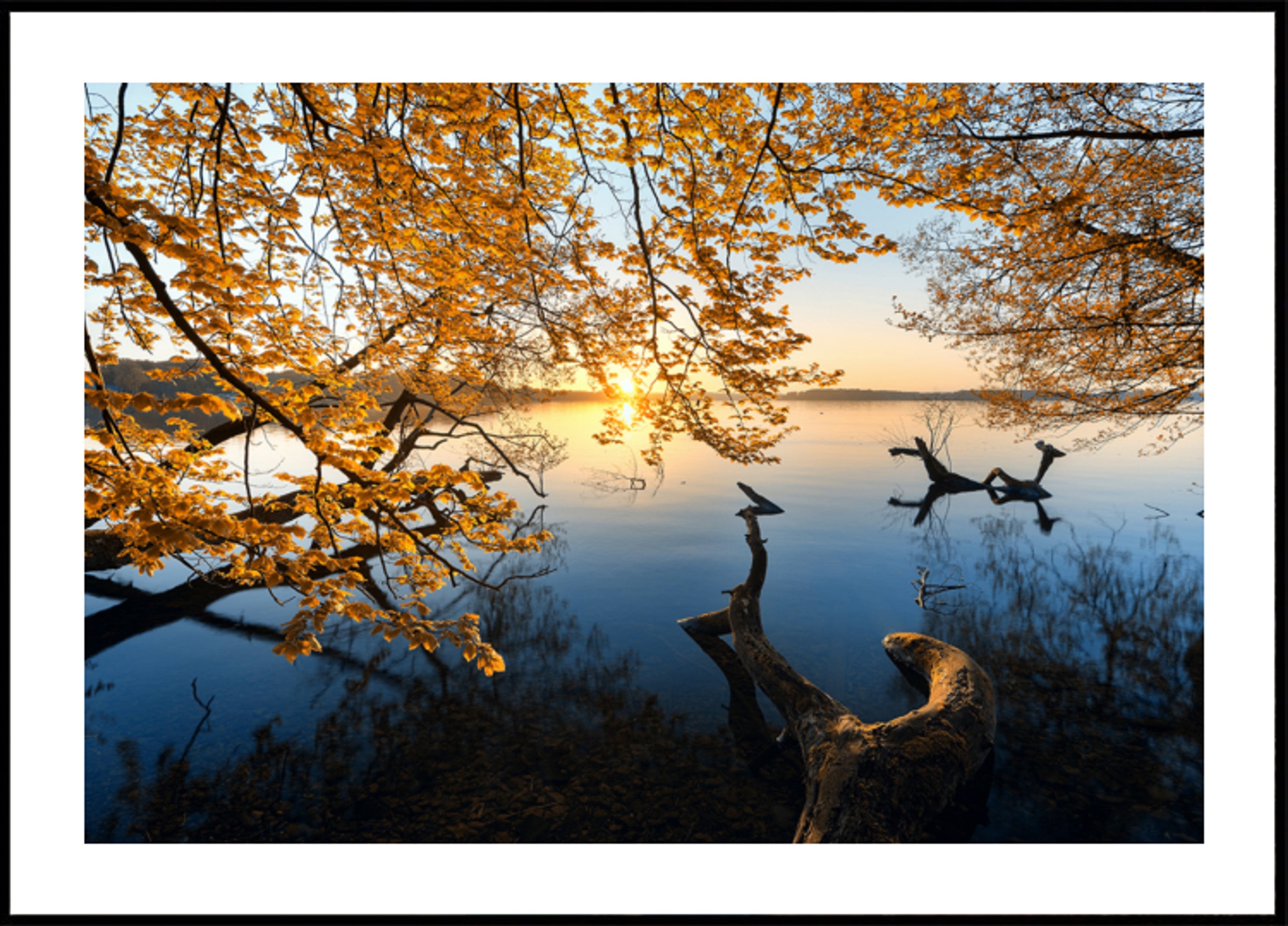 Amanecer Dorado Del Lago Otoño