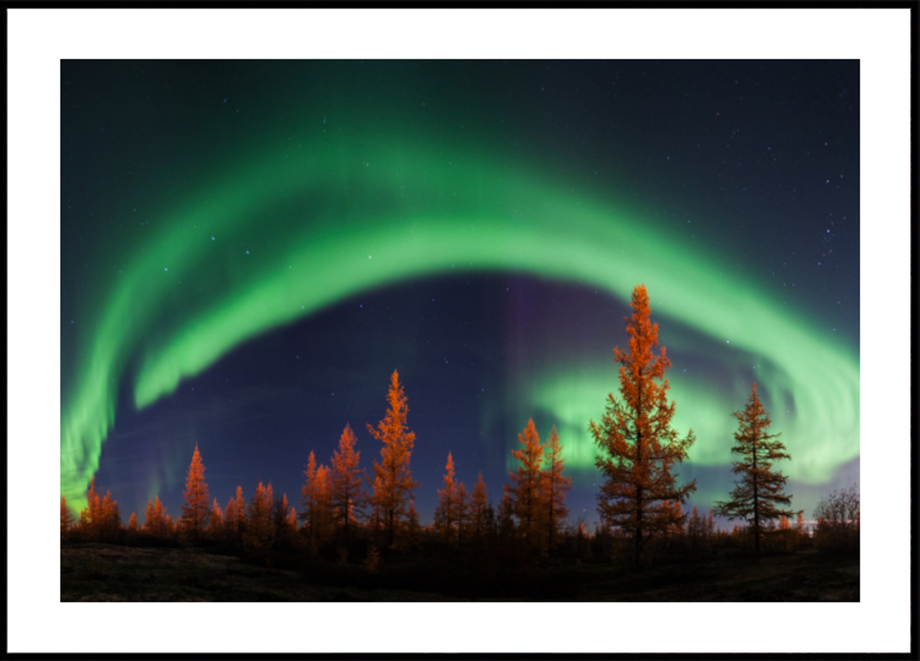 Vibrante cielo nocturno de aurora