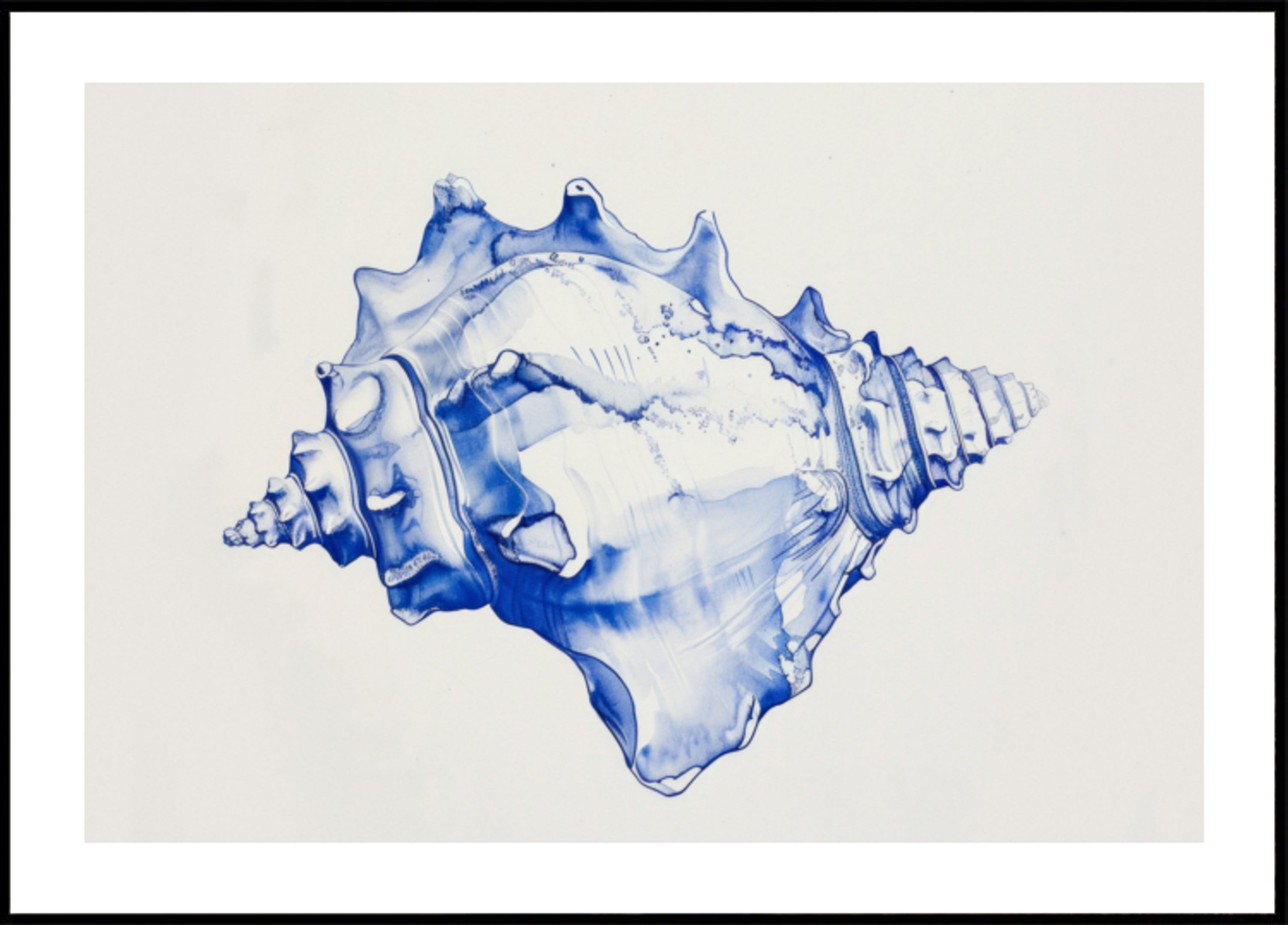 Armonía de la caracola azul