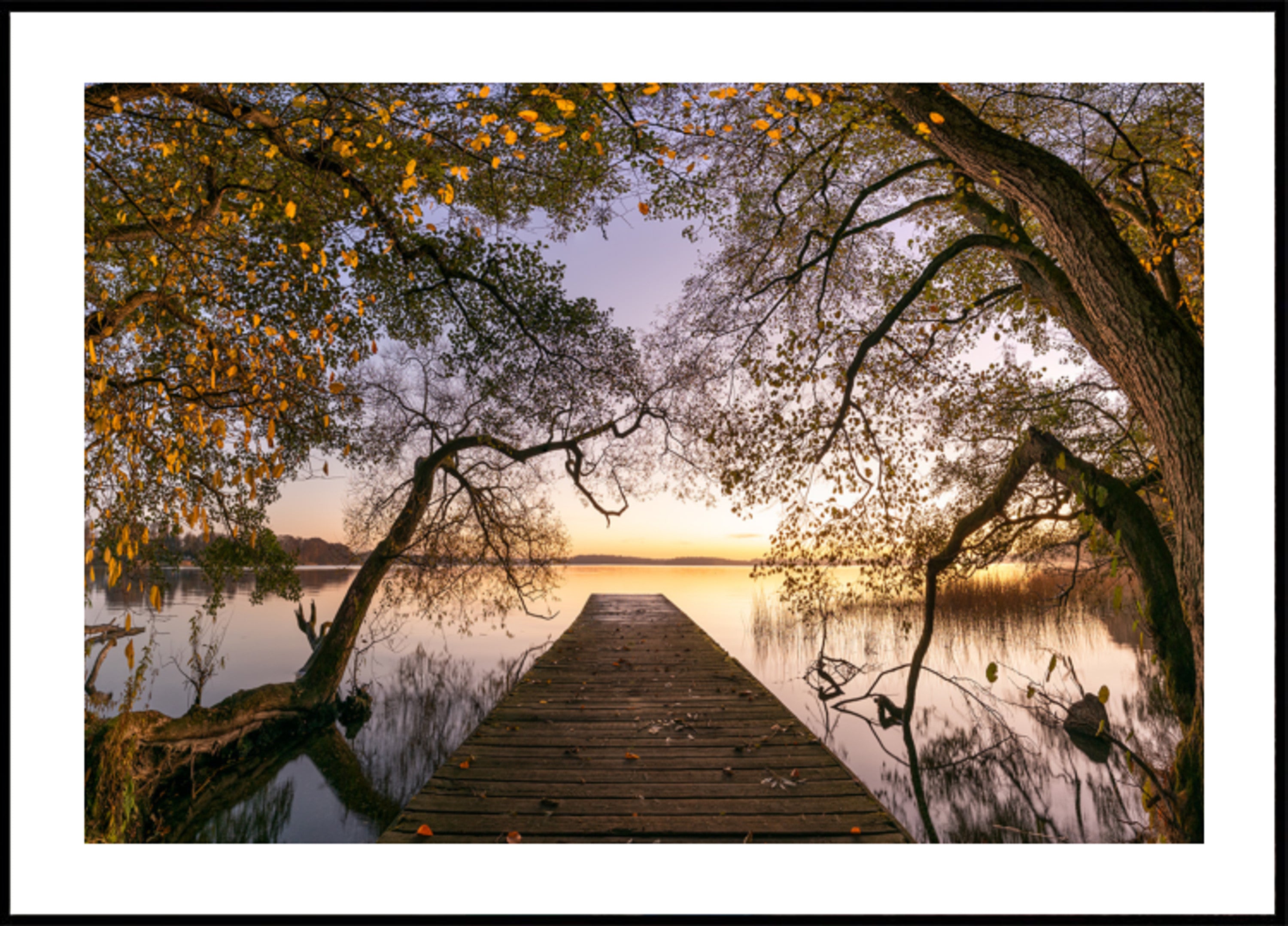 Muelle de Otoño Dorado