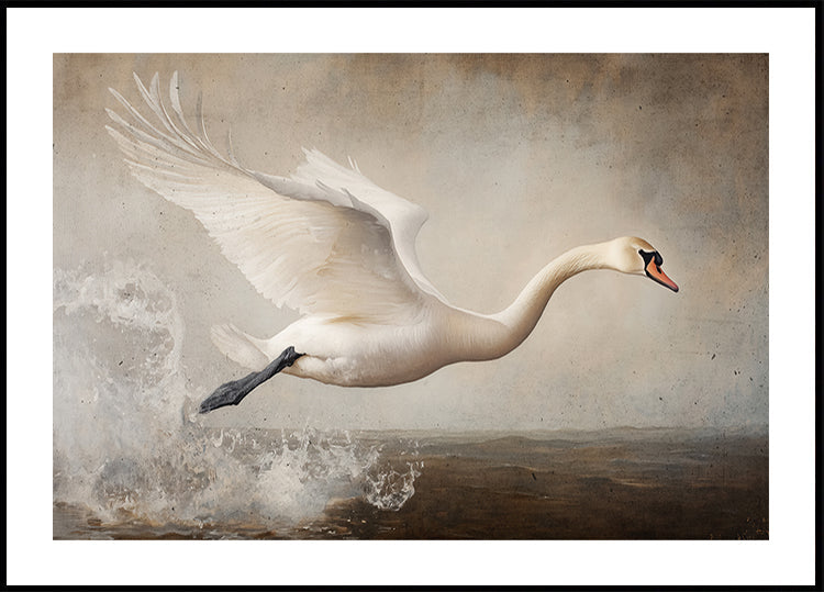Graceful Flight - Posterbox