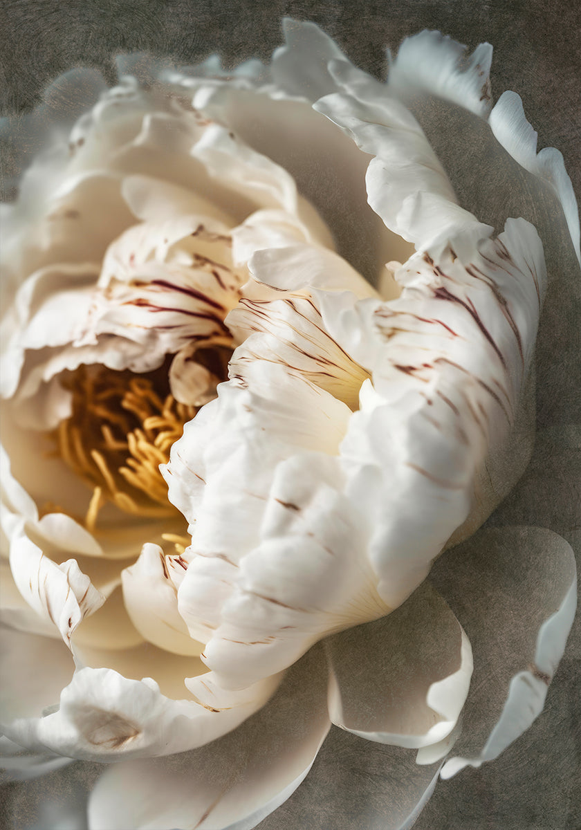 Petals of Serenity - Posterbox